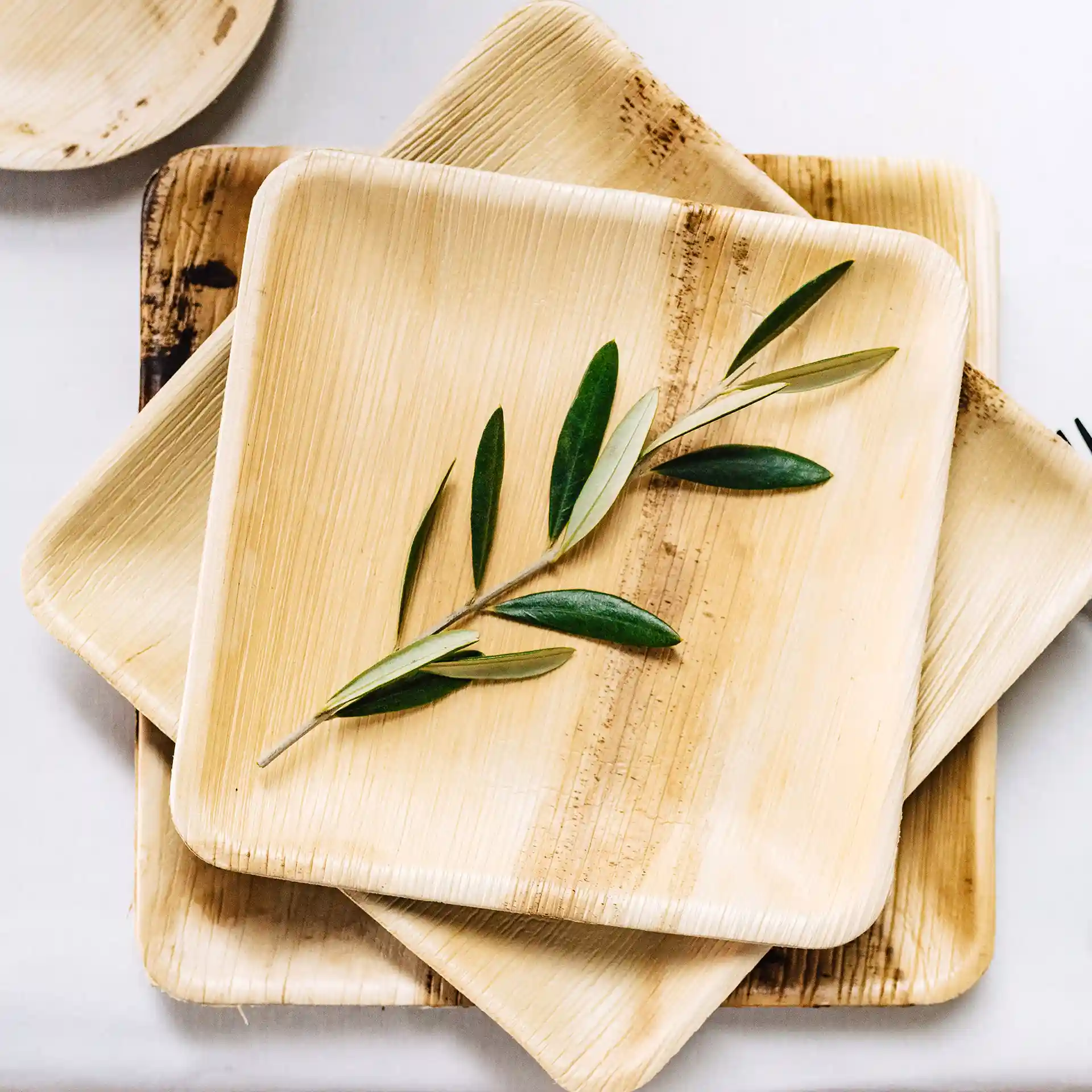 Square palm leaf plates stacked with a green olive branch on top, showcasing their natural grain texture.