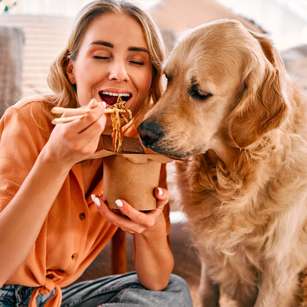 Asia Food Box_asiatisches-essen-hund