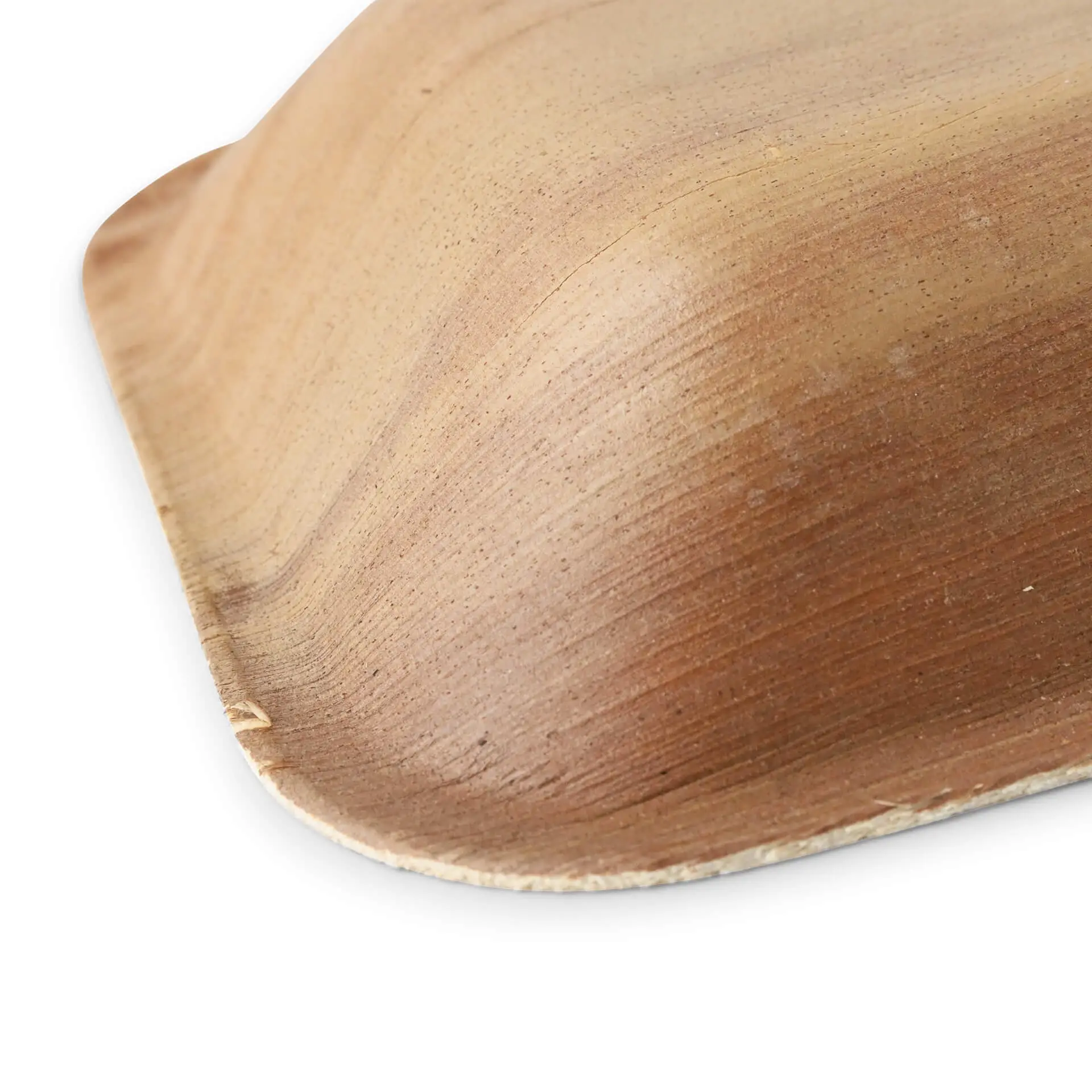 Palm leaf plates "Palmware®" 16 x 13 cm, deep, rectangular dtw05330-palmblatt-teller-palmware-16-x-13-cm-tief-rechteckig-3