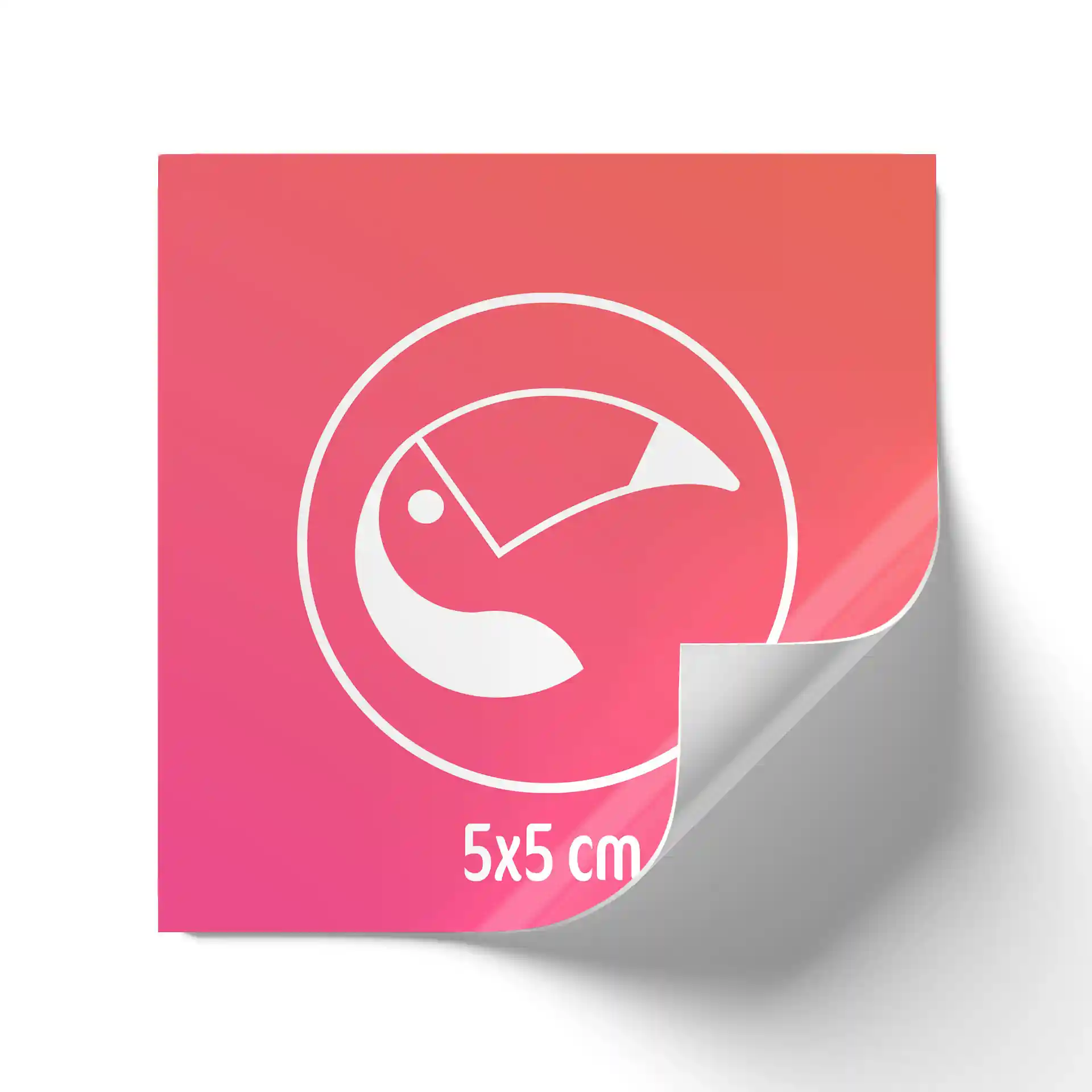 Square label with a pink gradient background, featuring a white bird icon and dimensions of 5 x 5 cm.