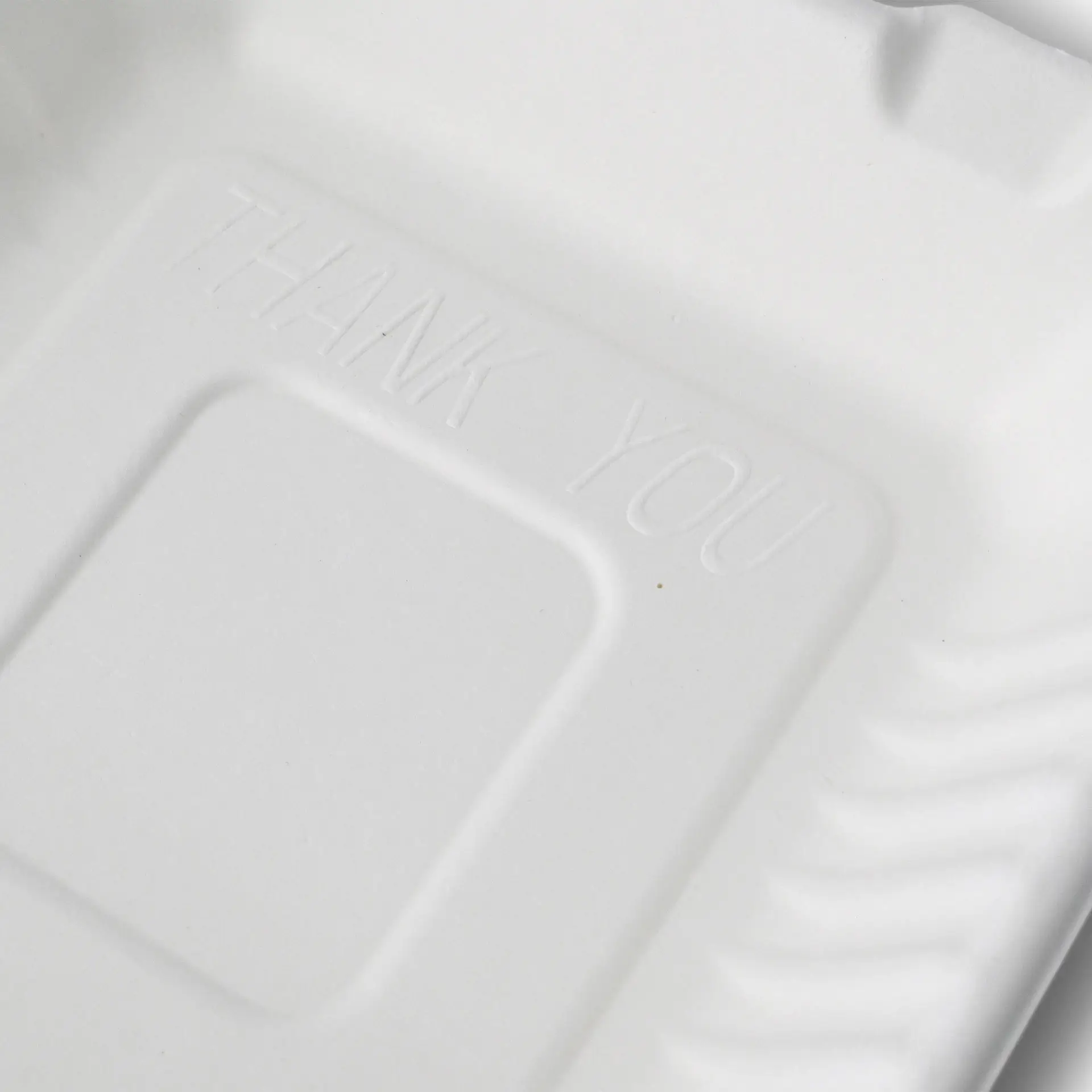 Sugarcane-containers 22 x 18,5 x 7 cm, hinged-lid, rectangular dfc01316-take-away-boxen-aus-zuckerrohr-22-x-185-x-7-cm-rechteckig-4