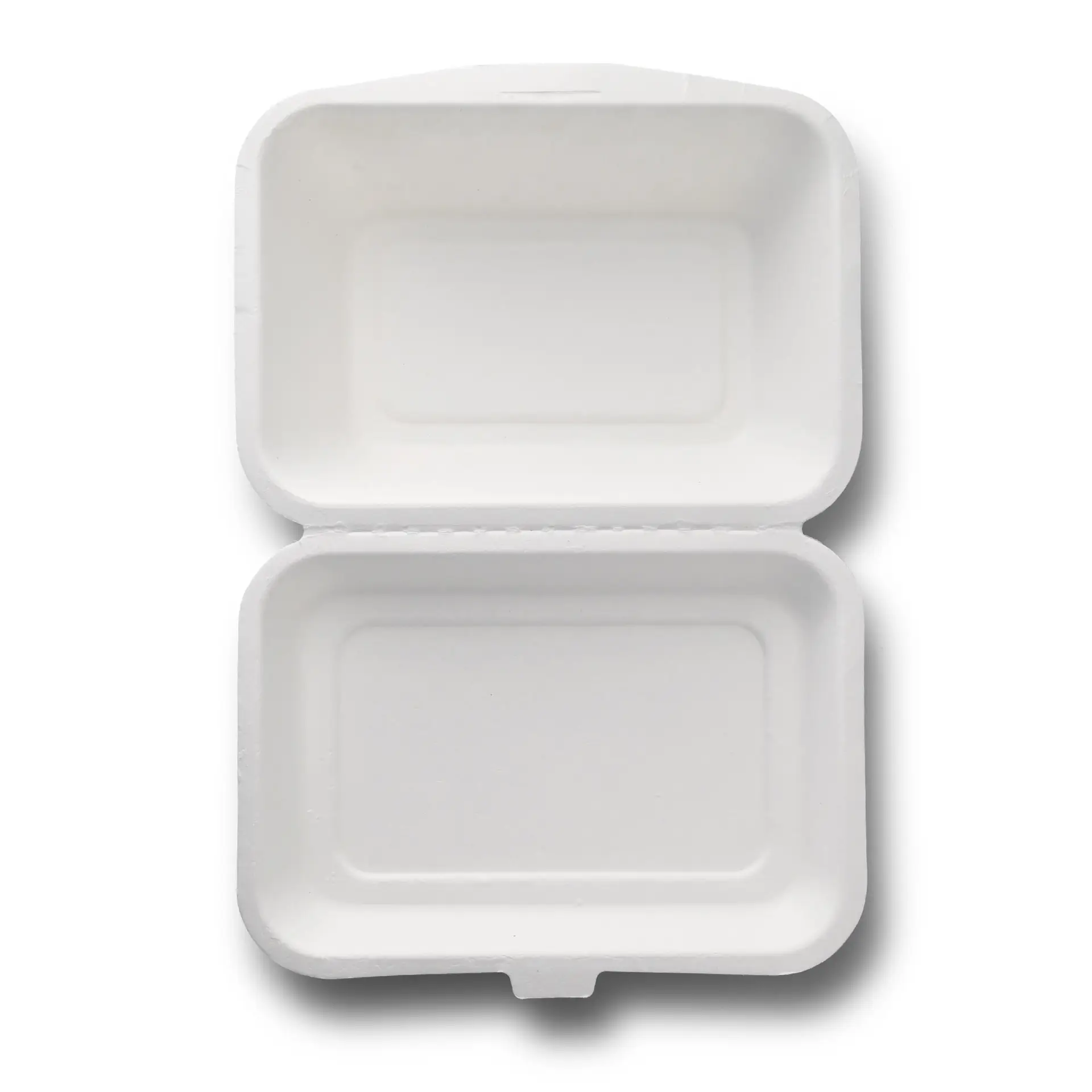 Sugarcane food containers 18.5 x 13 x 6.5 cm, hinged-lid, rectangular