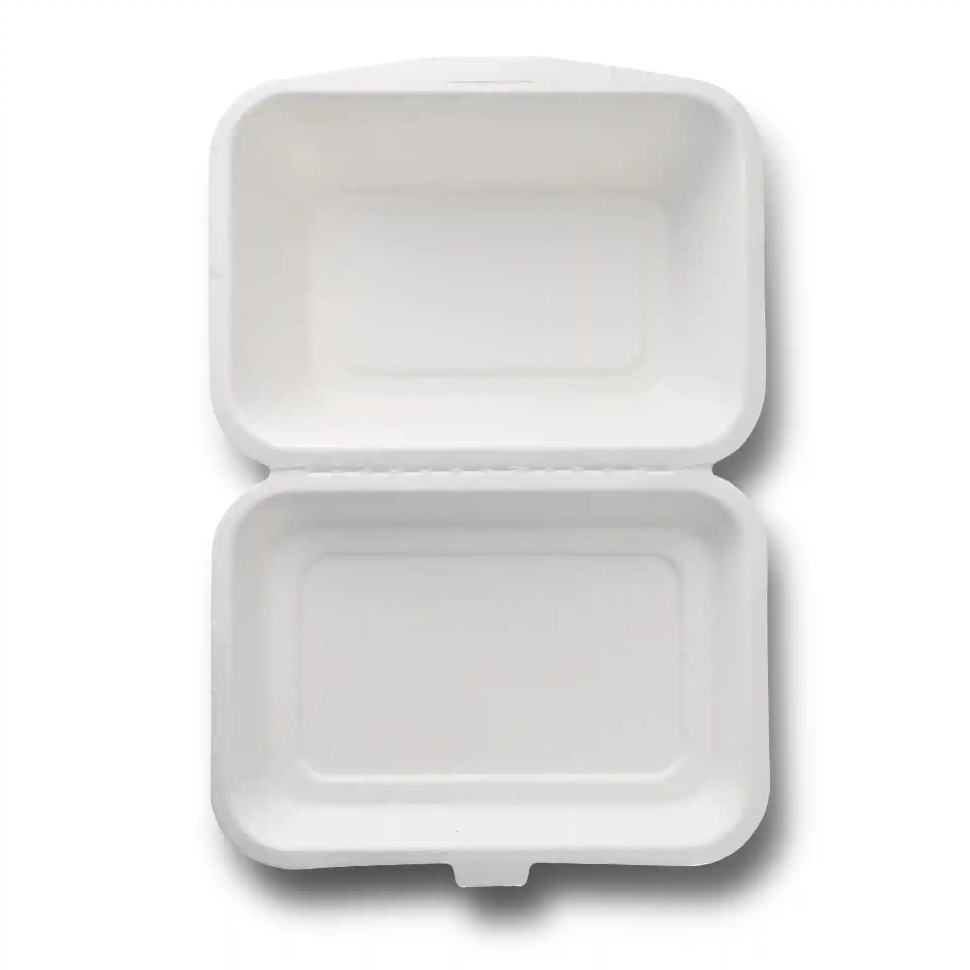 Rectangular white sugarcane food container with a hinged lid, measuring 18.5 x 13 x 6.5 cm.