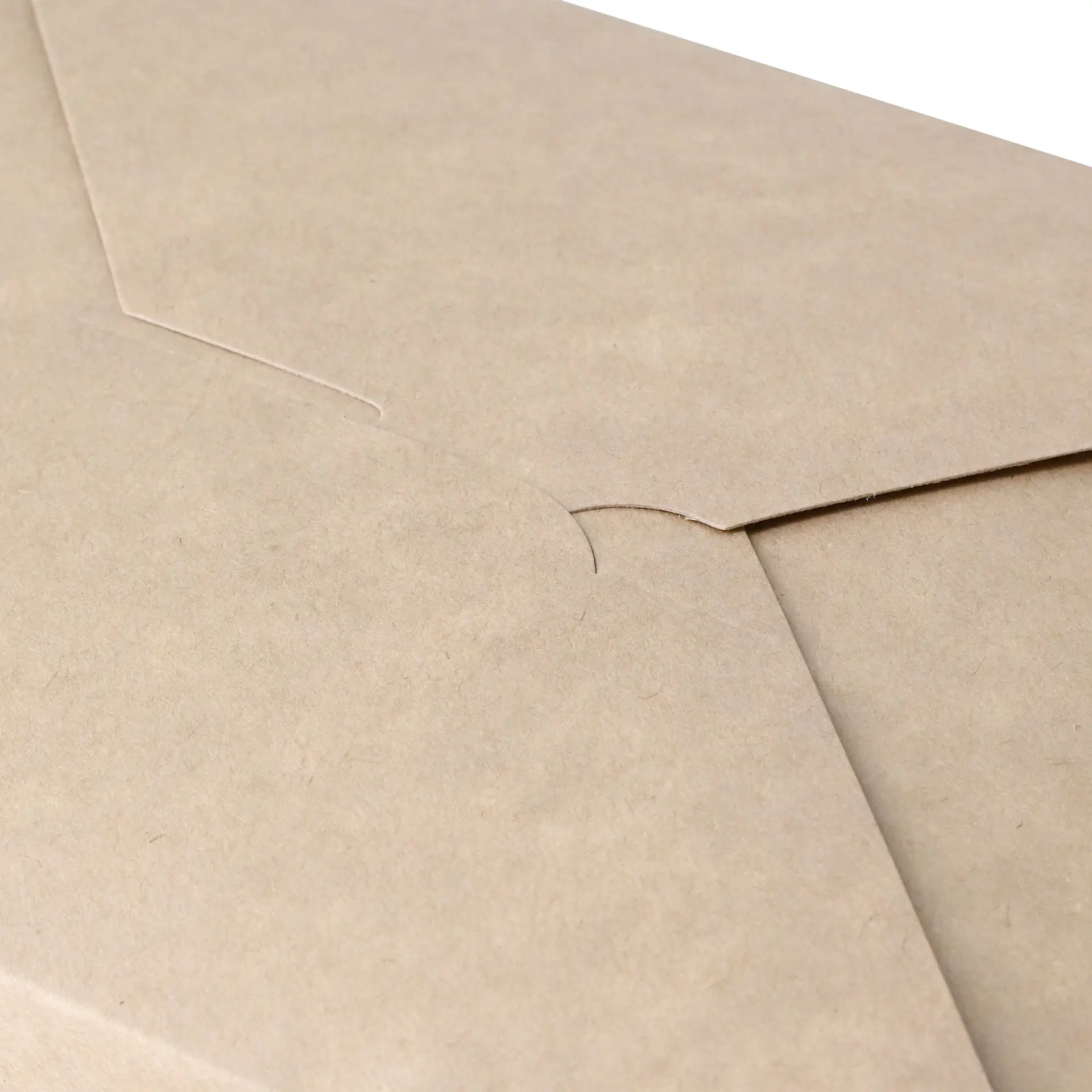 Take-away boxes made of cardboard 2500 ml, brown