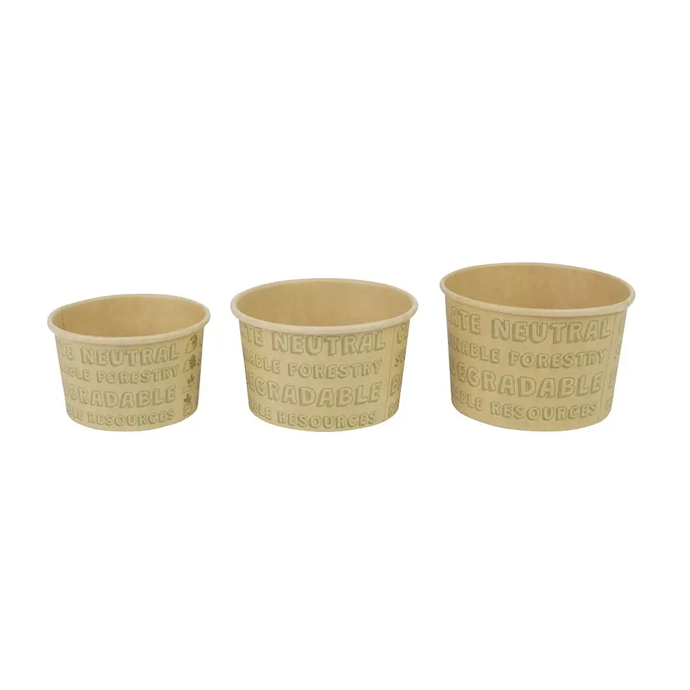 Paper Ice Cream Container (eco-friendly coating) 150 ml / 6 oz, unbleached, EcoUp