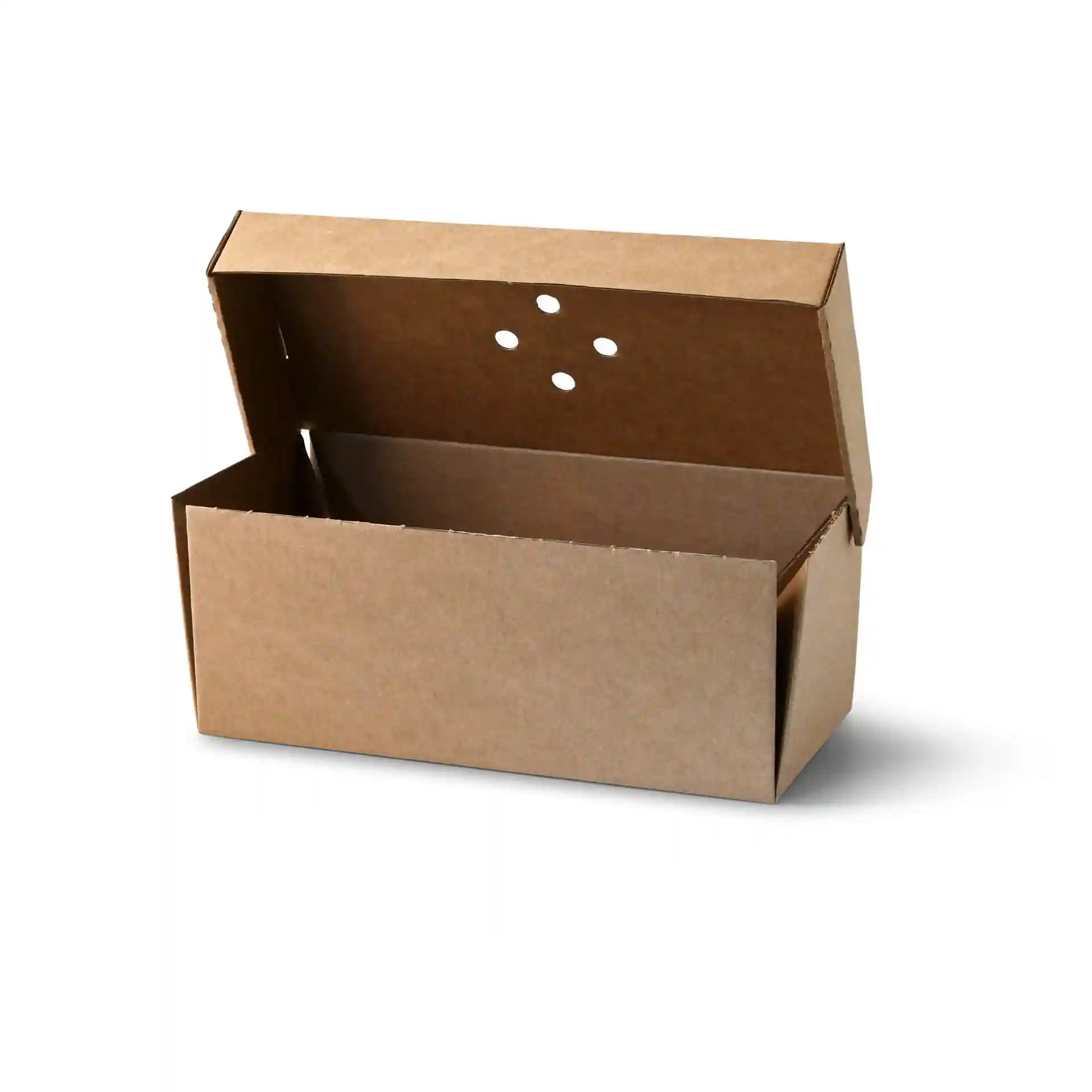 Brown rectangular cardboard box with an open top and four ventilation holes.