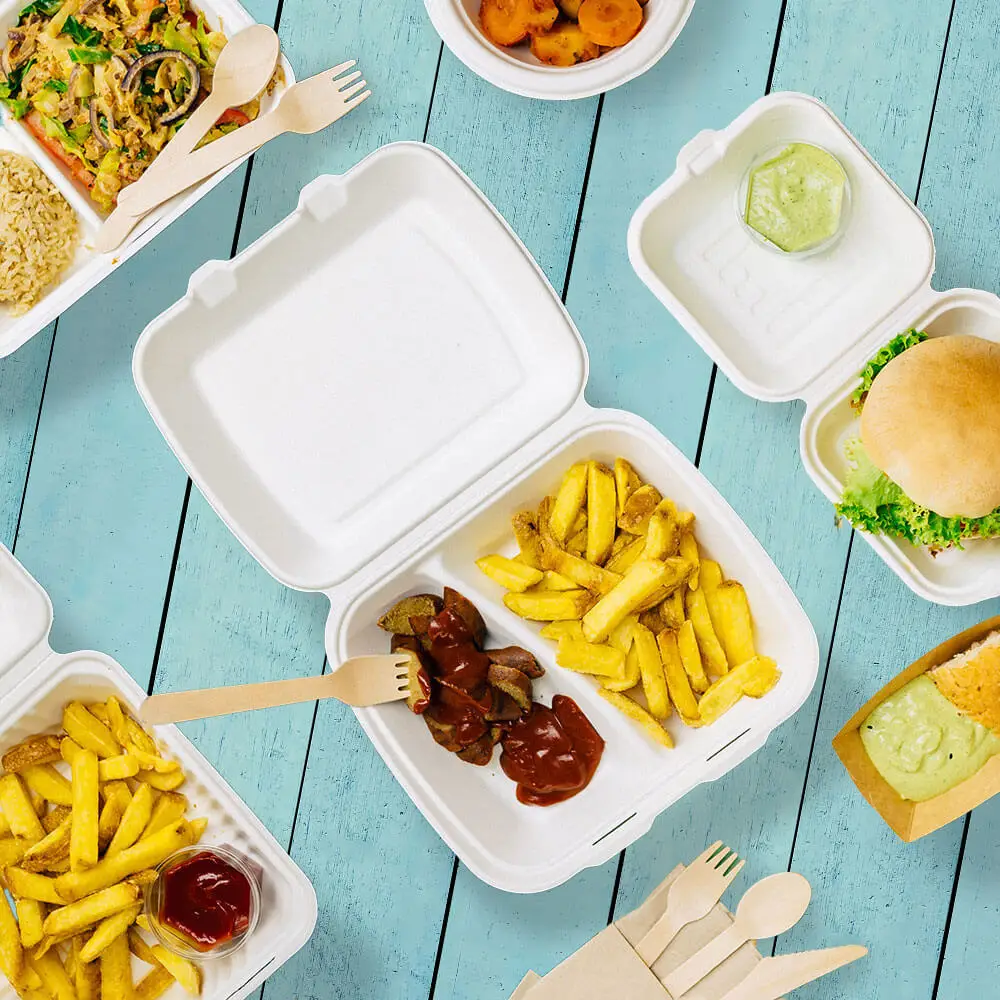 Menüboxen aus Zuckerrohr 25 x 20 x 7,5 cm, 2 Kammern, HP4/2, rechteckig dfc01347-menueboxen-aus-zuckerrohr-25-x-20-x-75-cm-2-kammern-hp42-rechteckig-7