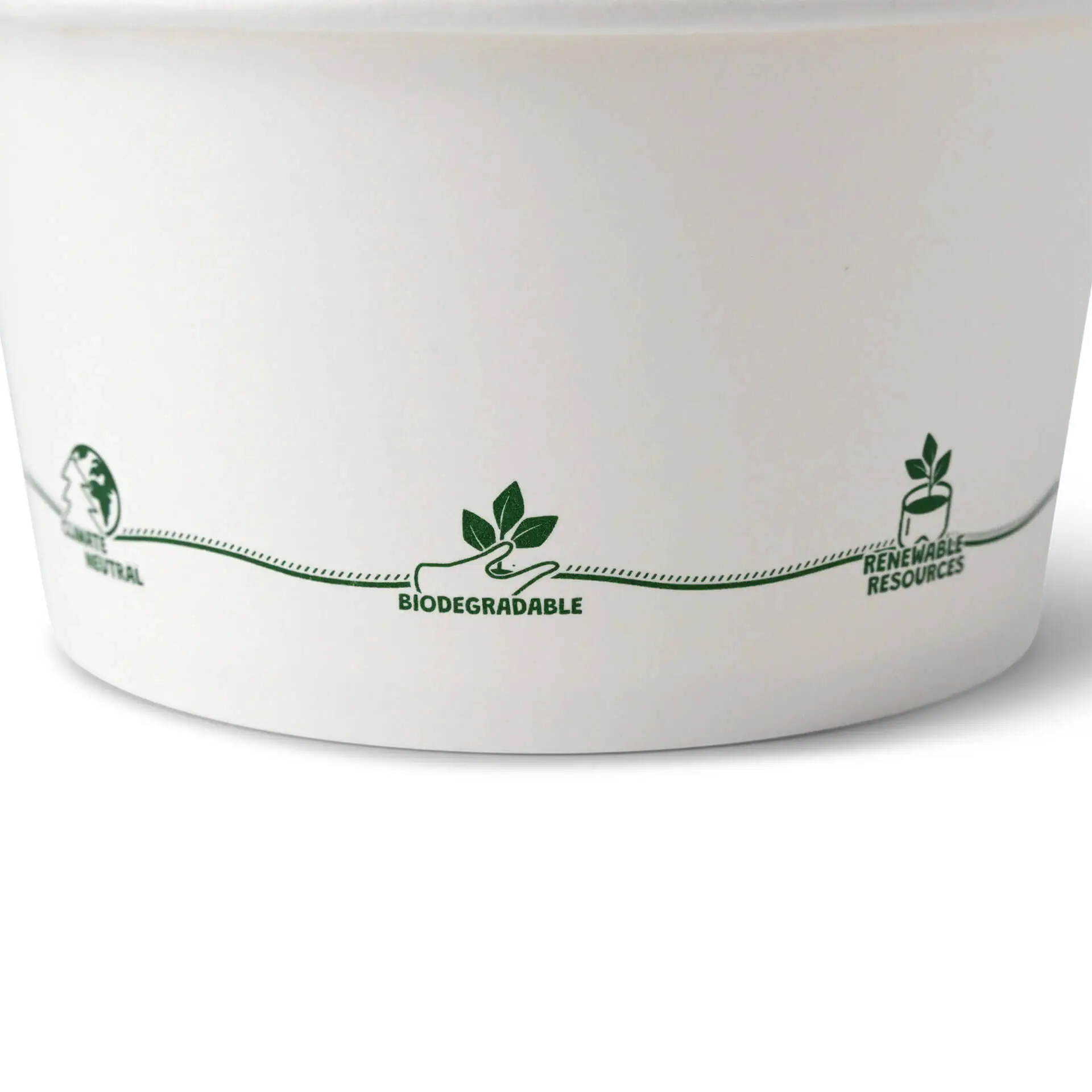12 oz Cardboard Soup Container (eco-friendly coating), Ø 115 mm, "EcoUp©"-icons