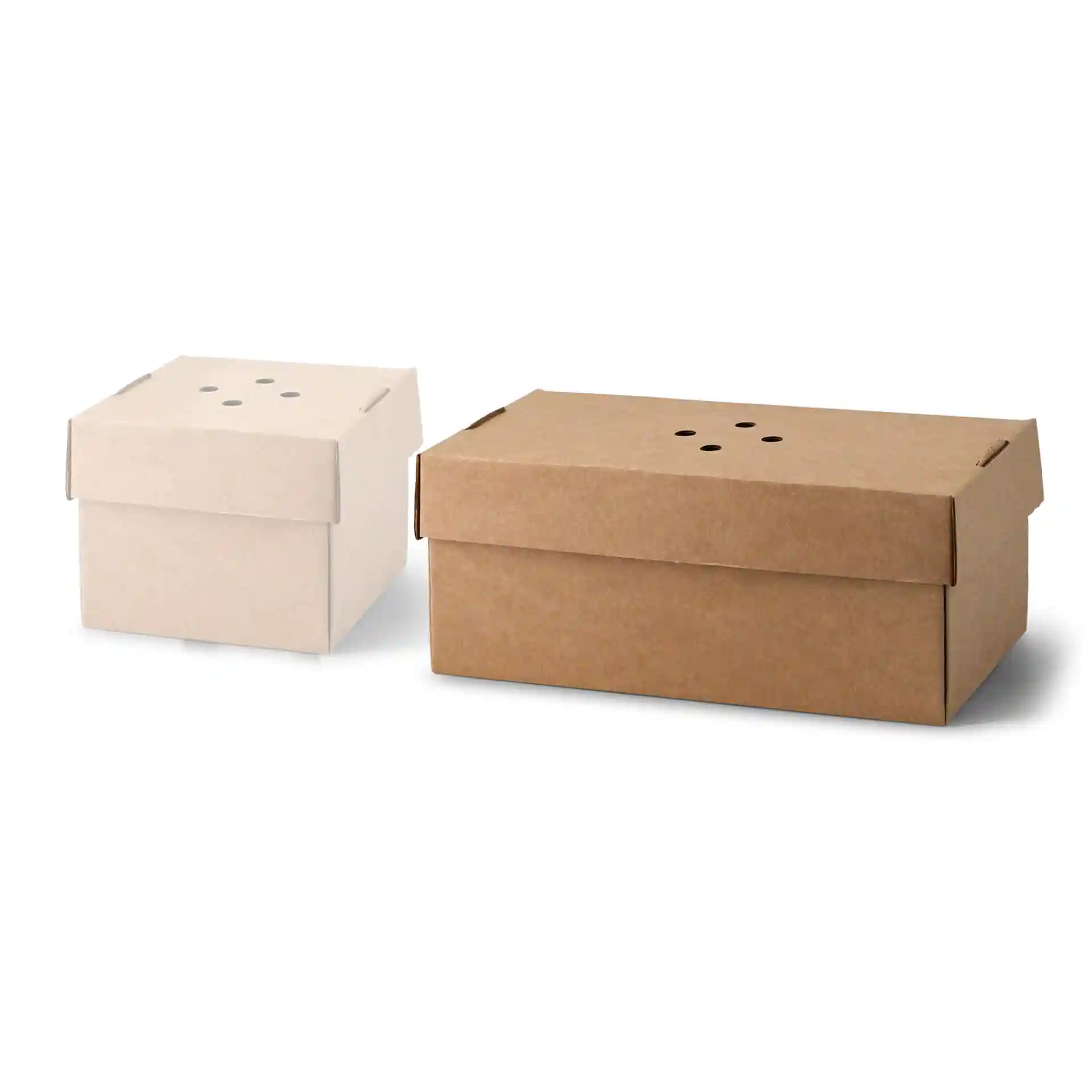 Two rectangular cardboard boxes, one brown and one white, with holes on top for ventilation.