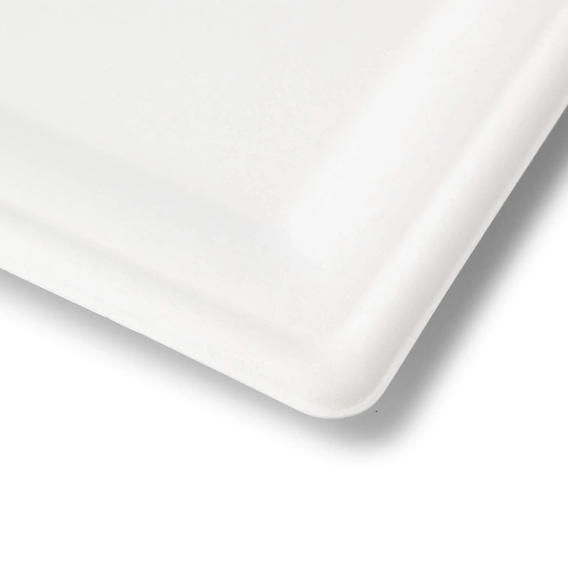 Teller aus Zuckerrohr 20 x 20 cm, quadratisch dtw08714-teller-aus-zuckerrohr-20-x-20-cm-quadratisch-3