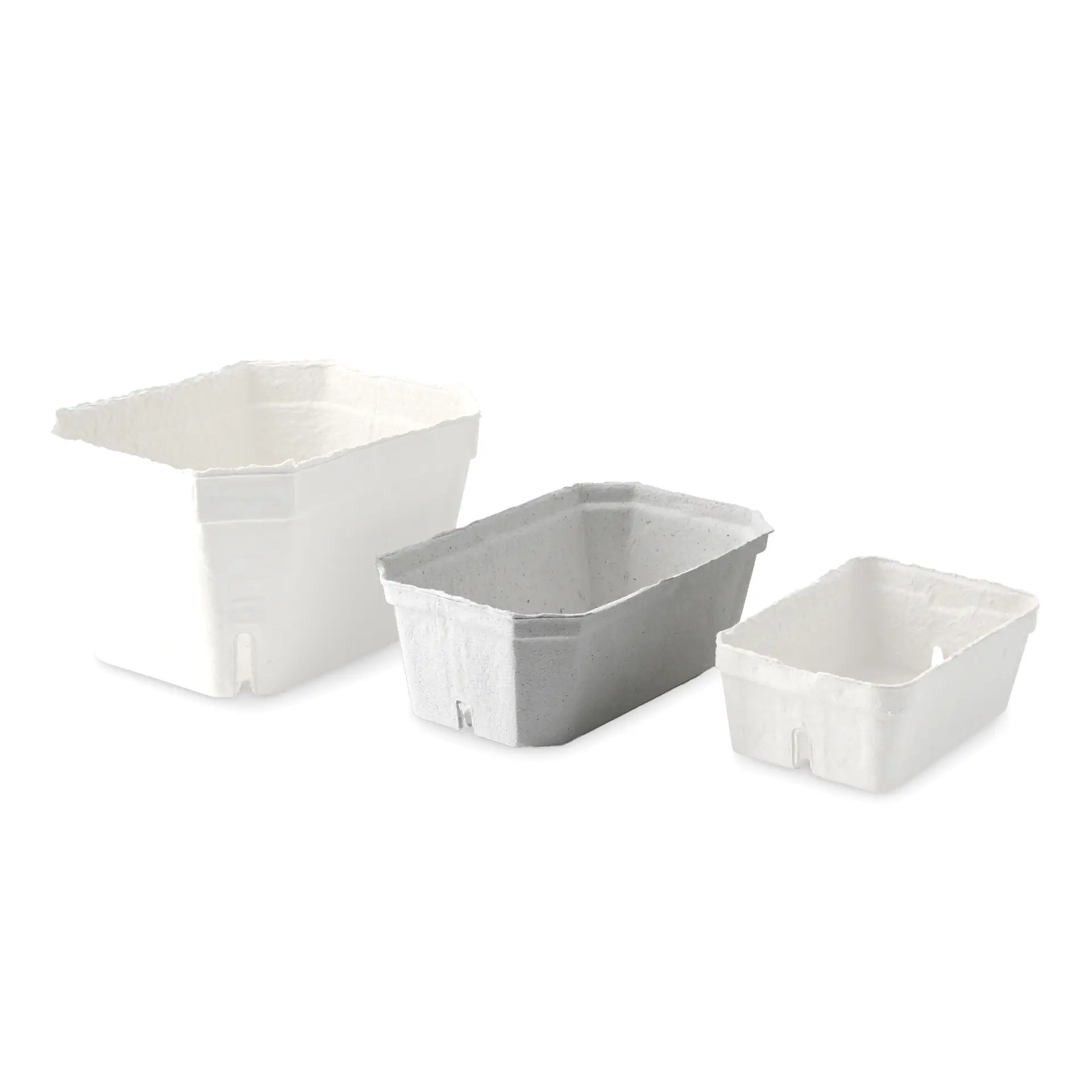 Three white berry trays made from wood pulp board, varying in size, designed for fresh produce and transportation.