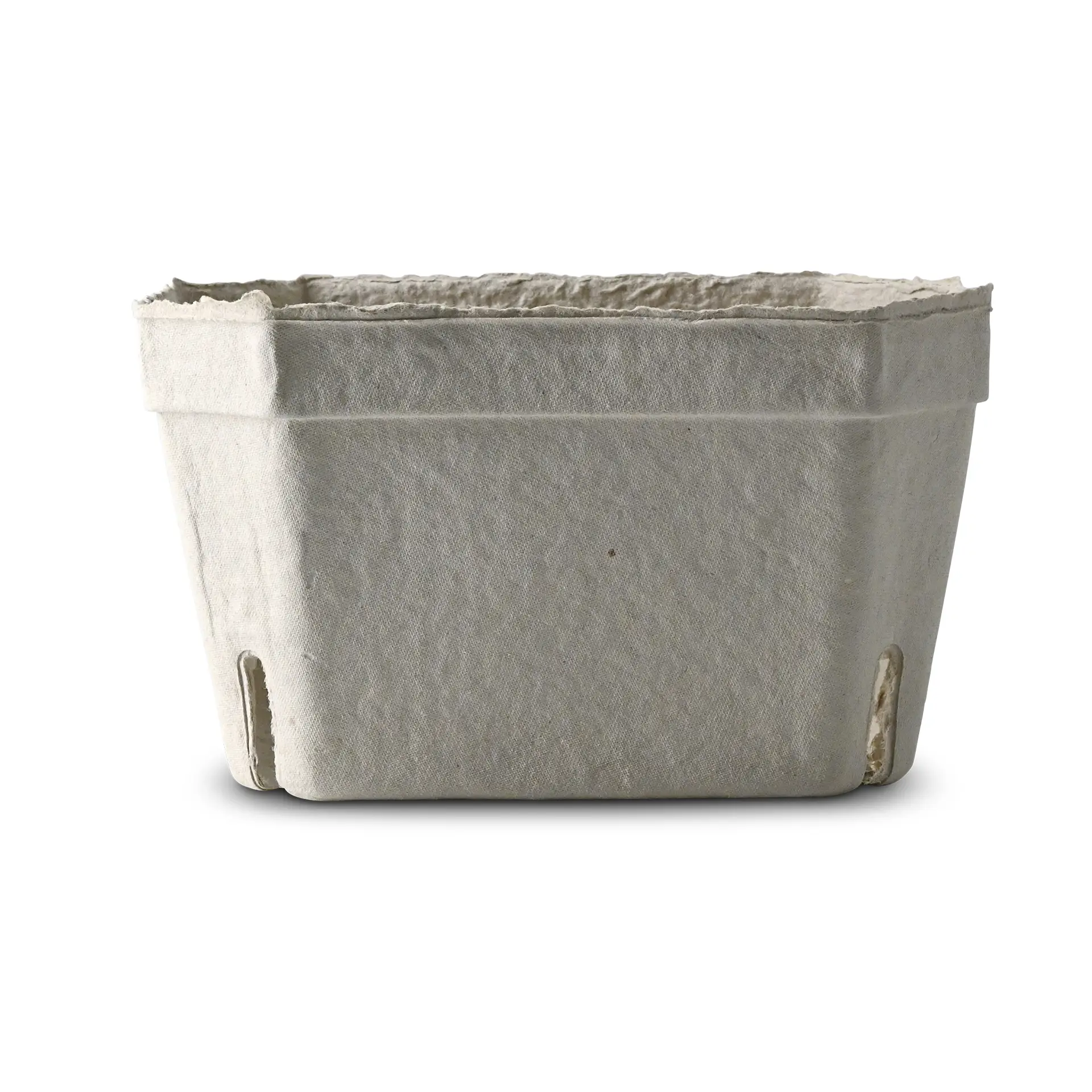 One white berry tray made from sturdy wood pulp board; designed for fresh fruit and soft produce, ideal for markets.