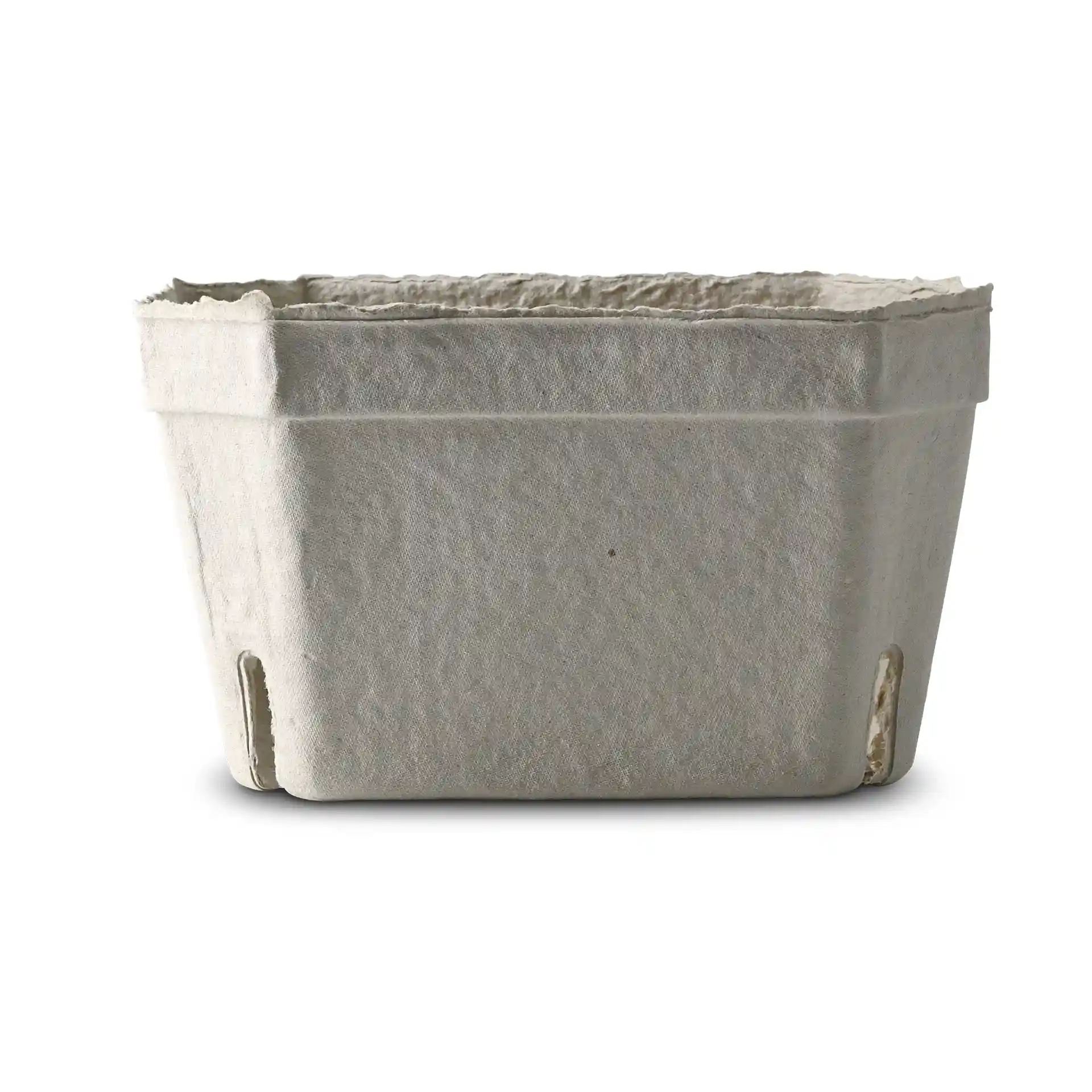 White wood pulp berry punnet with a rectangular shape and drainage holes at the bottom.