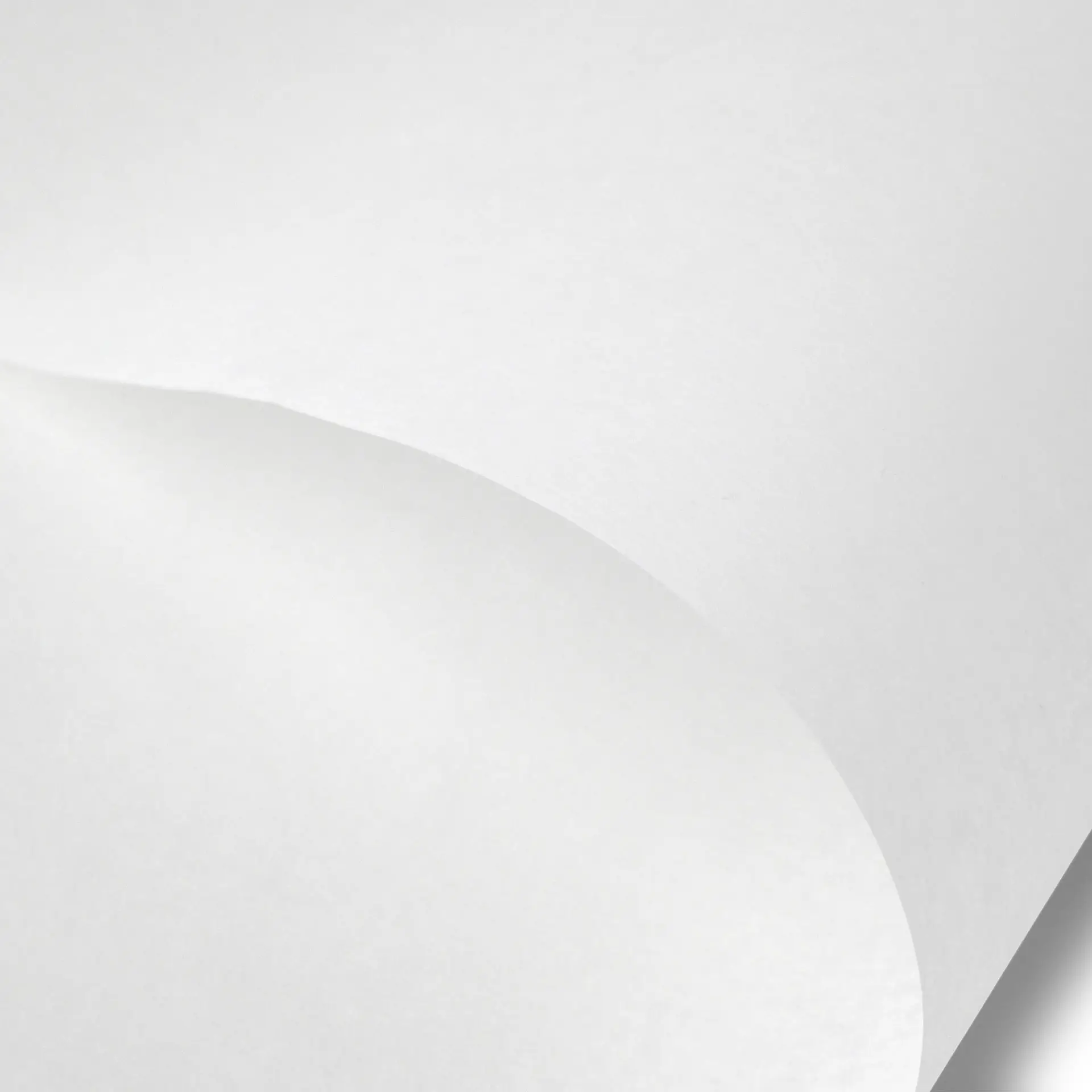 Wrapping paper sheets 43 x 35 cm, white