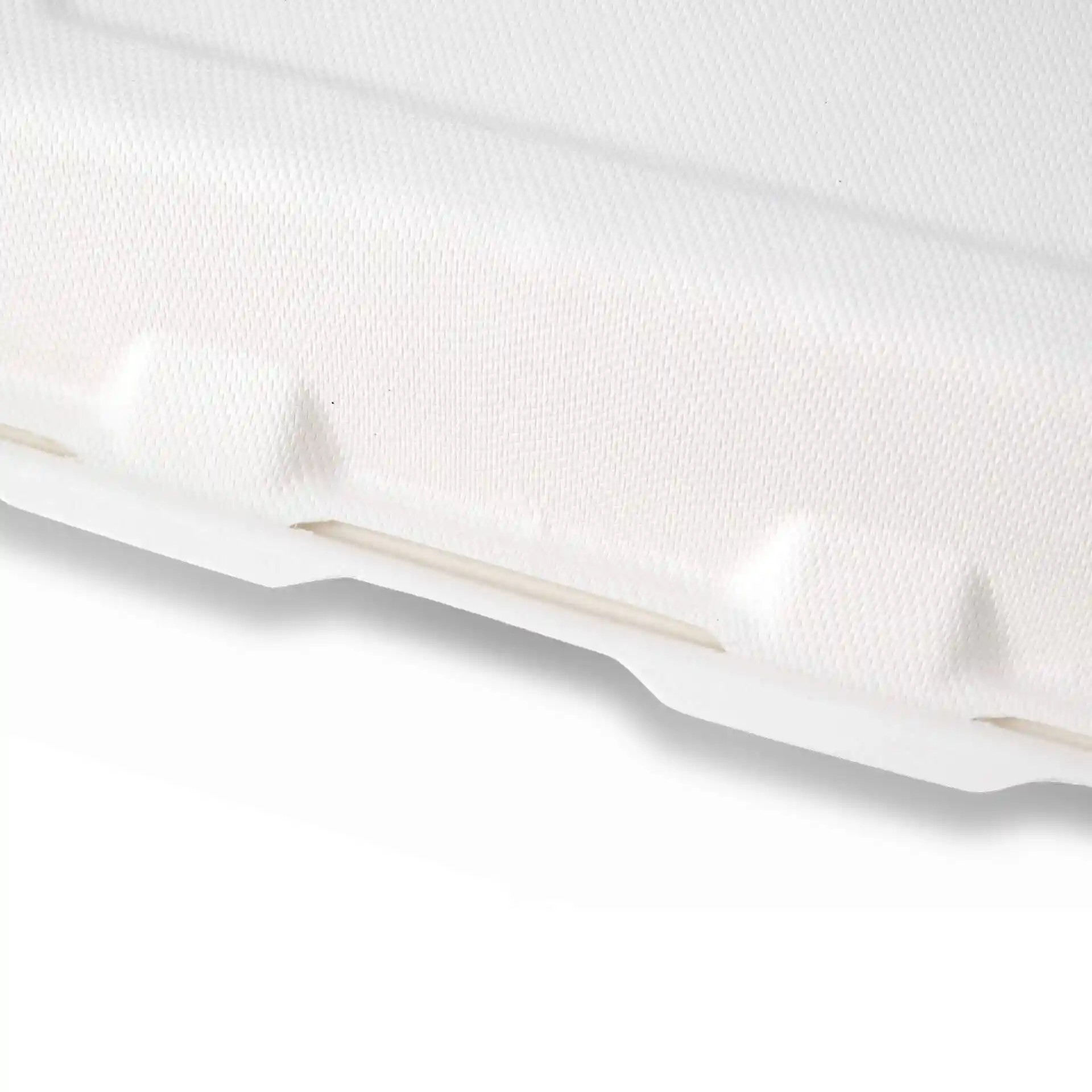 Close-up of a white rectangular sugarcane menu container with a hinged lid and two compartments.