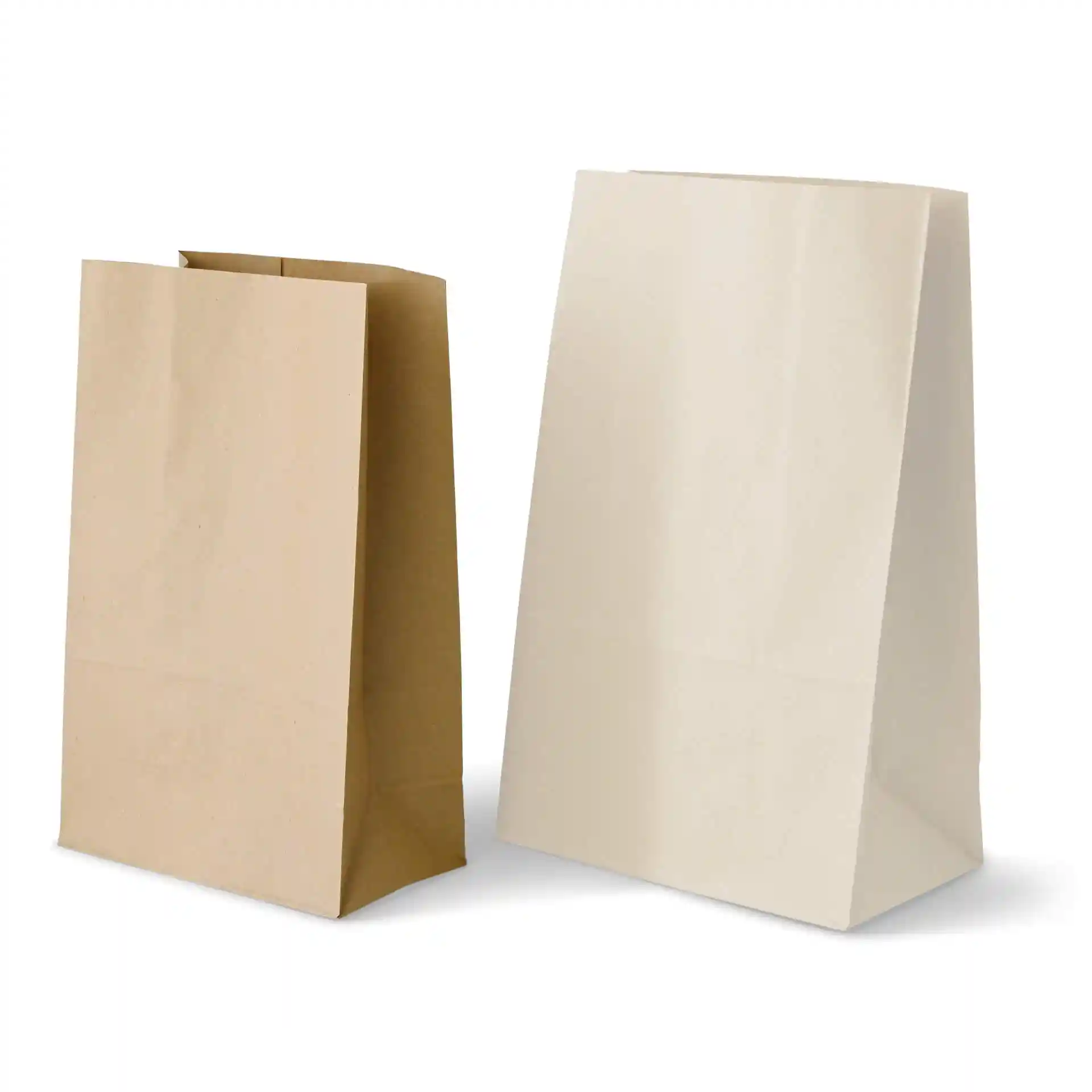 Image of two rectangular paper shopping bags, one brown and one white, standing upright.