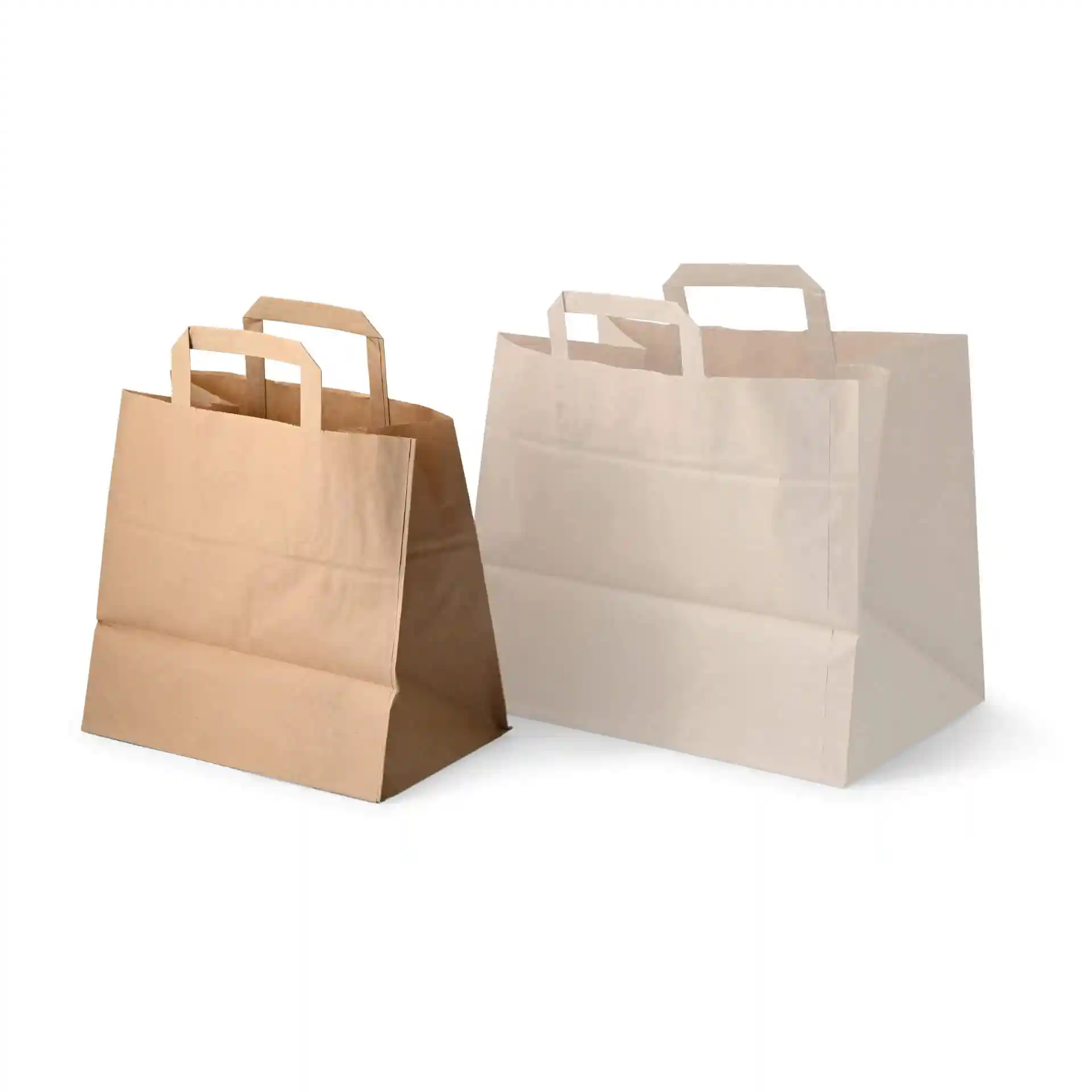 Two paper carrier bags, one brown and one white, with flat handles and a rectangular base.