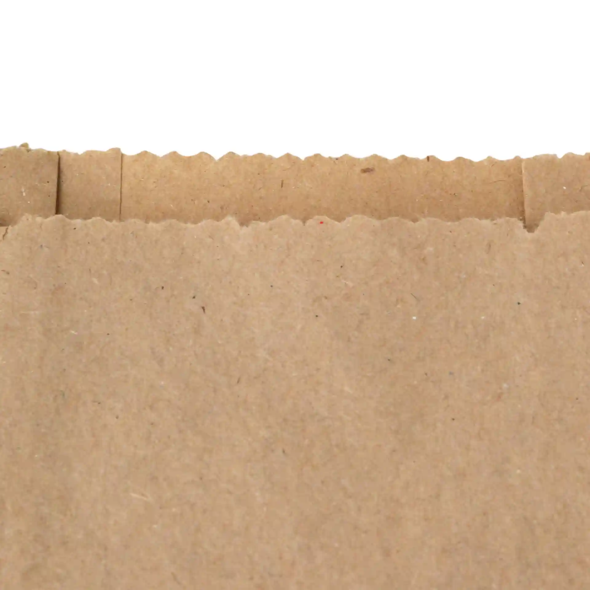 Close-up of the top edge of a brown kraft paper bag with a scalloped cut.