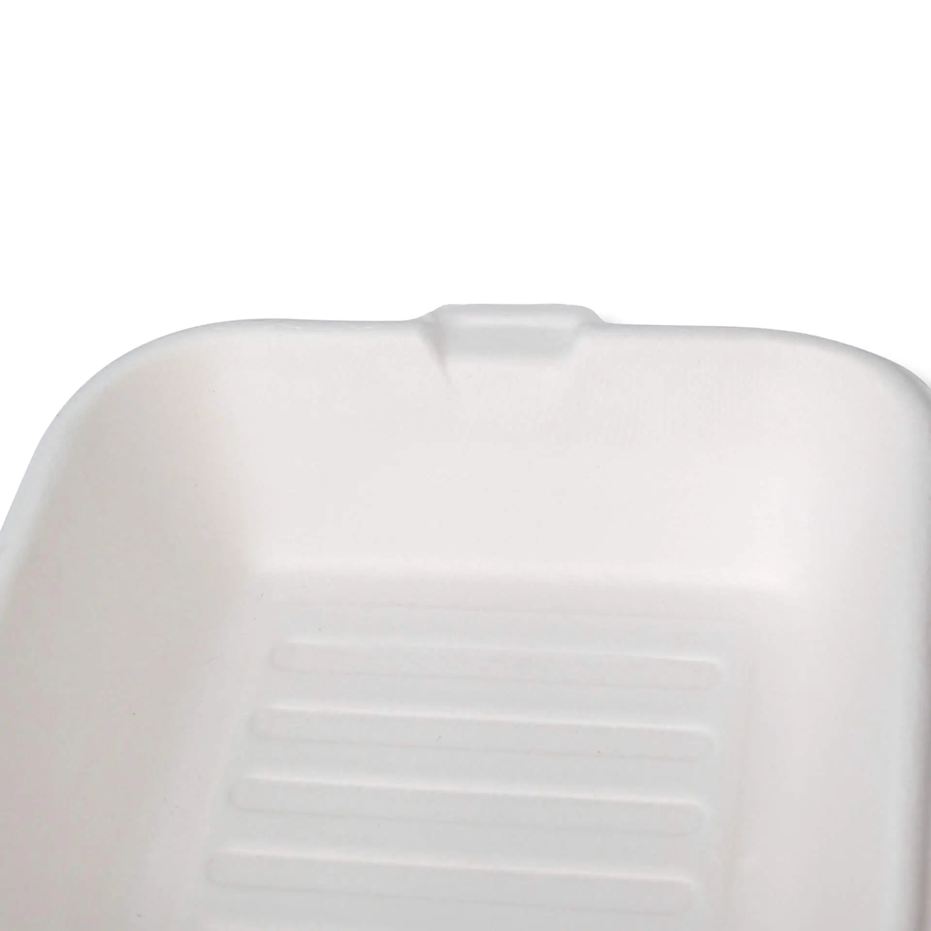 Sugarcane burger box 15 x 15 x 8 cm, square