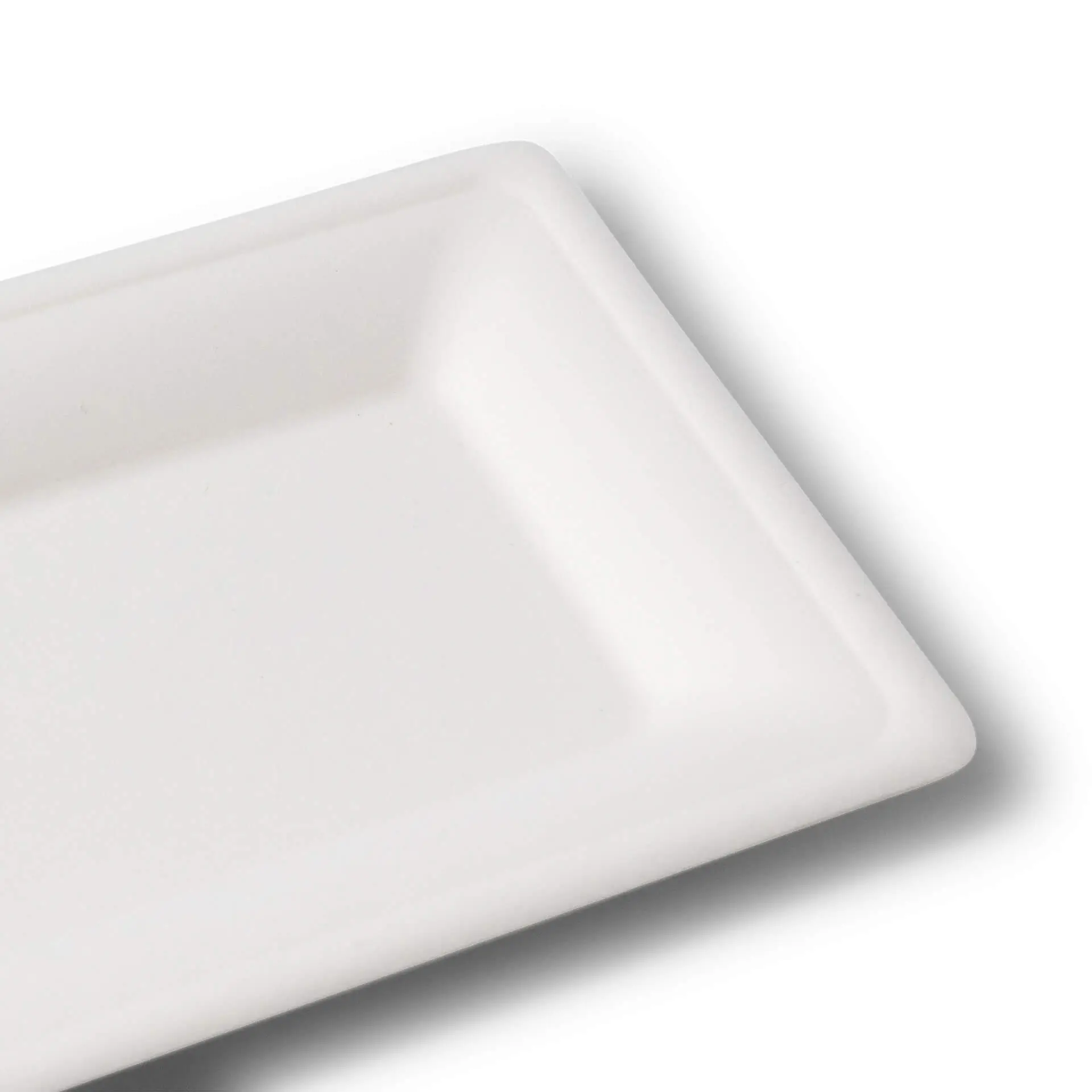 White rectangular sugarcane plate, measuring 26 x 13 cm, with a flat base and smooth edges.