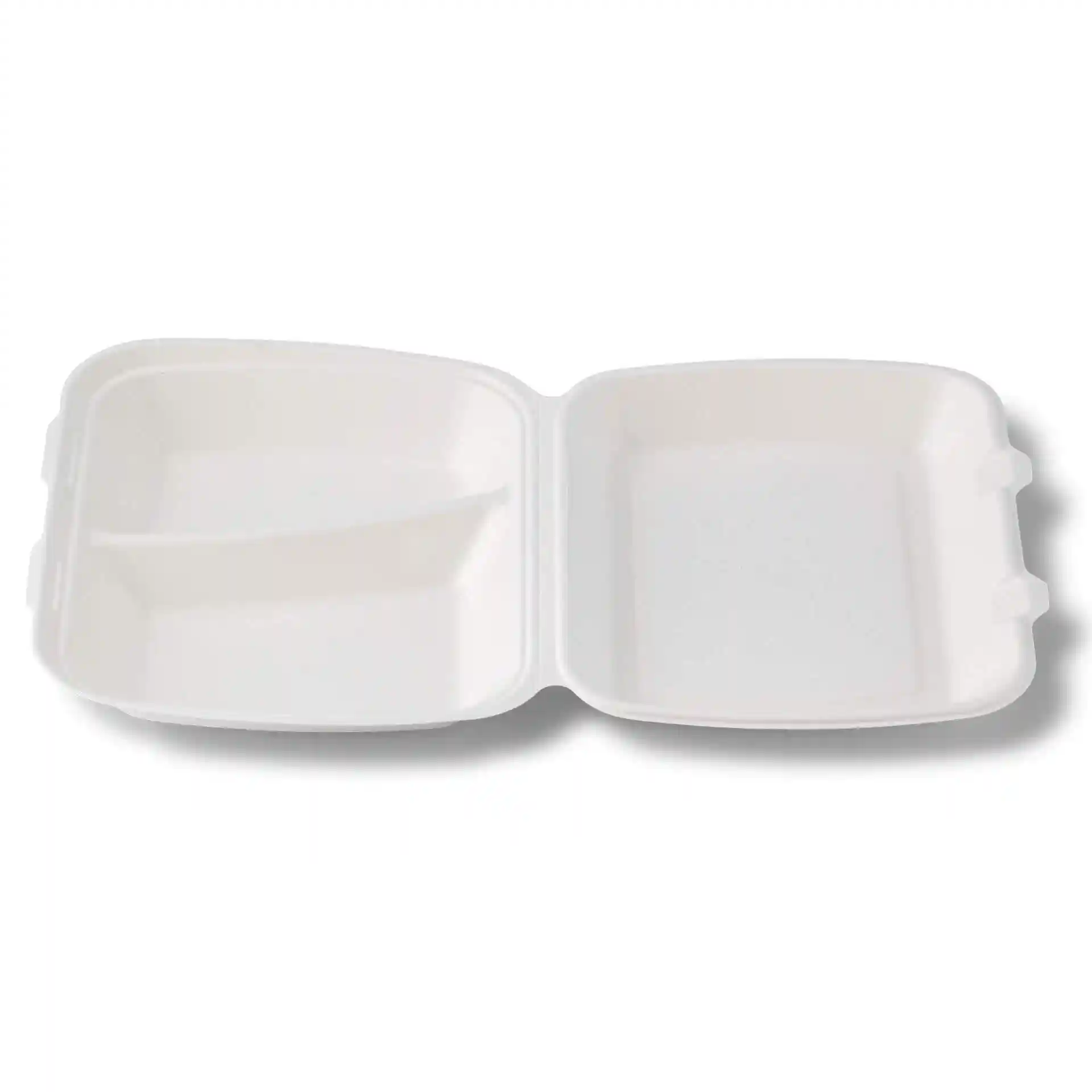White rectangular sugarcane container with two compartments and hinged lid, measuring 25 x 20 x 7.5 cm.