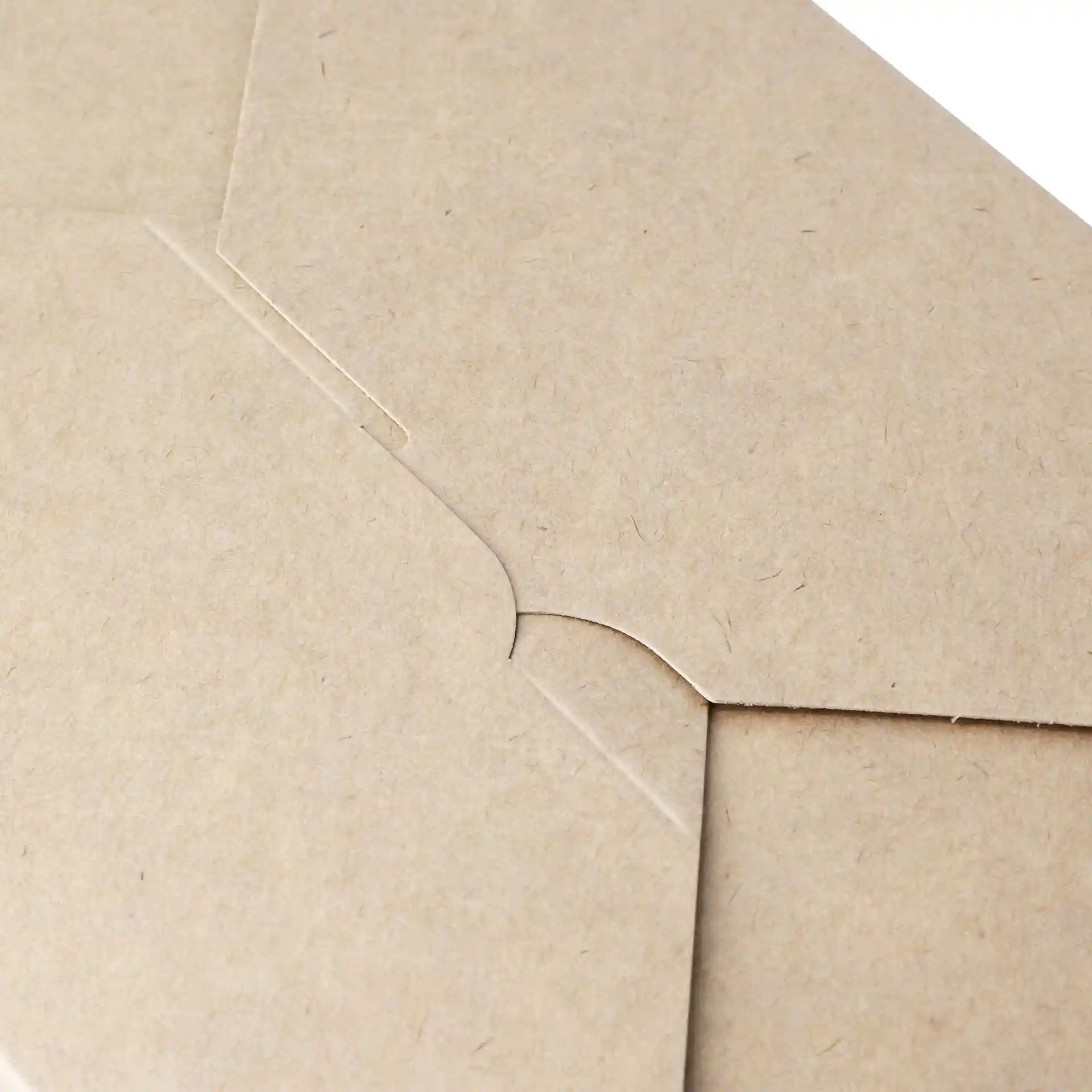 Close-up of a brown cardboard takeaway container with a rectangular shape and a flap closure.