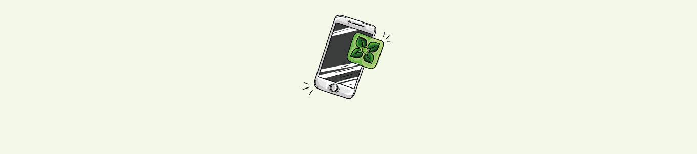 Icon_InfoService_greenboxapp