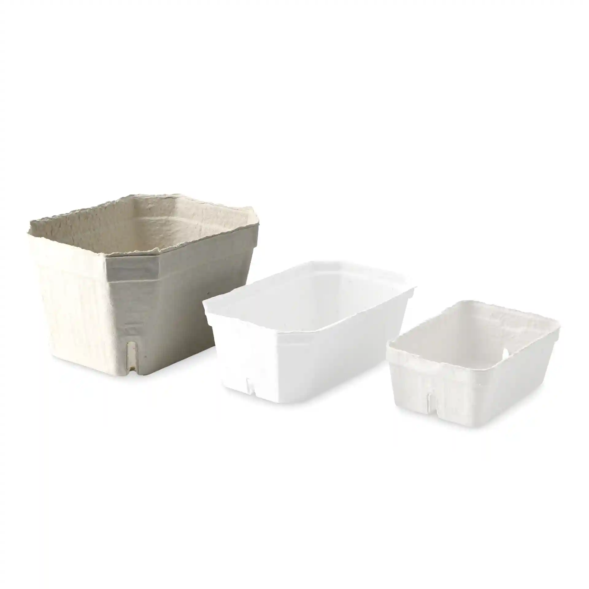 Three wood pulp berry punnets in white, varying sizes with rectangular shapes and open tops.