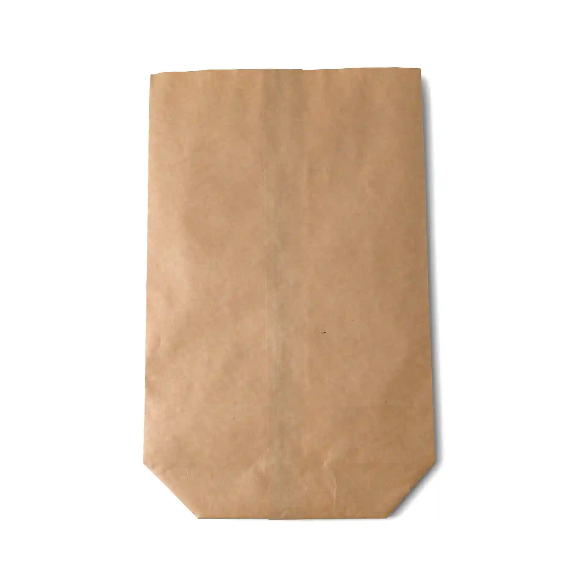 Brown paper snack bag, double layered, measuring 16.5 x 26 x 6 cm, with a flat bottom and no viewing window.