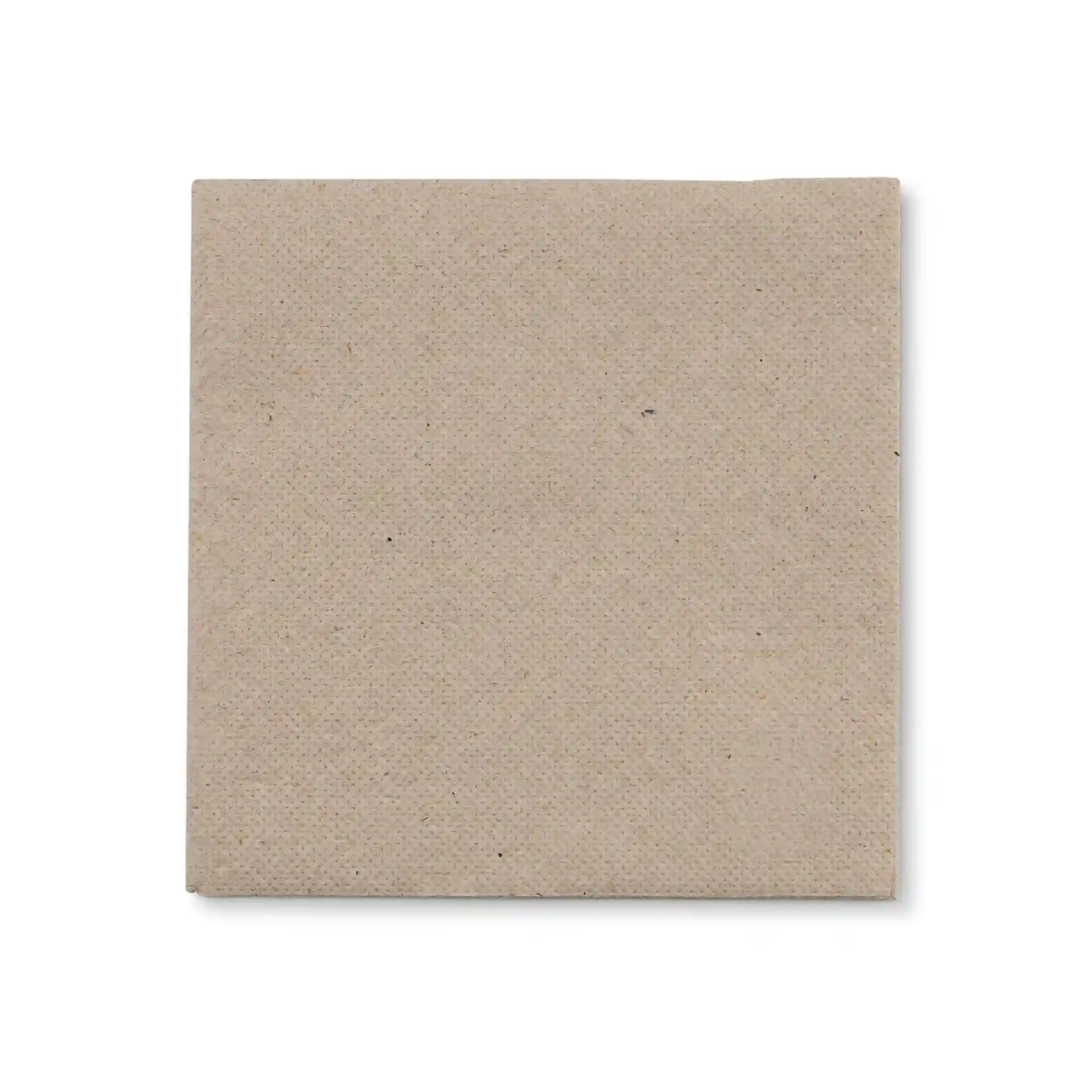 Square unbleached recycled paper napkin, 25 x 25 cm, 2-ply, with a symbol indicating 100% recycled material.