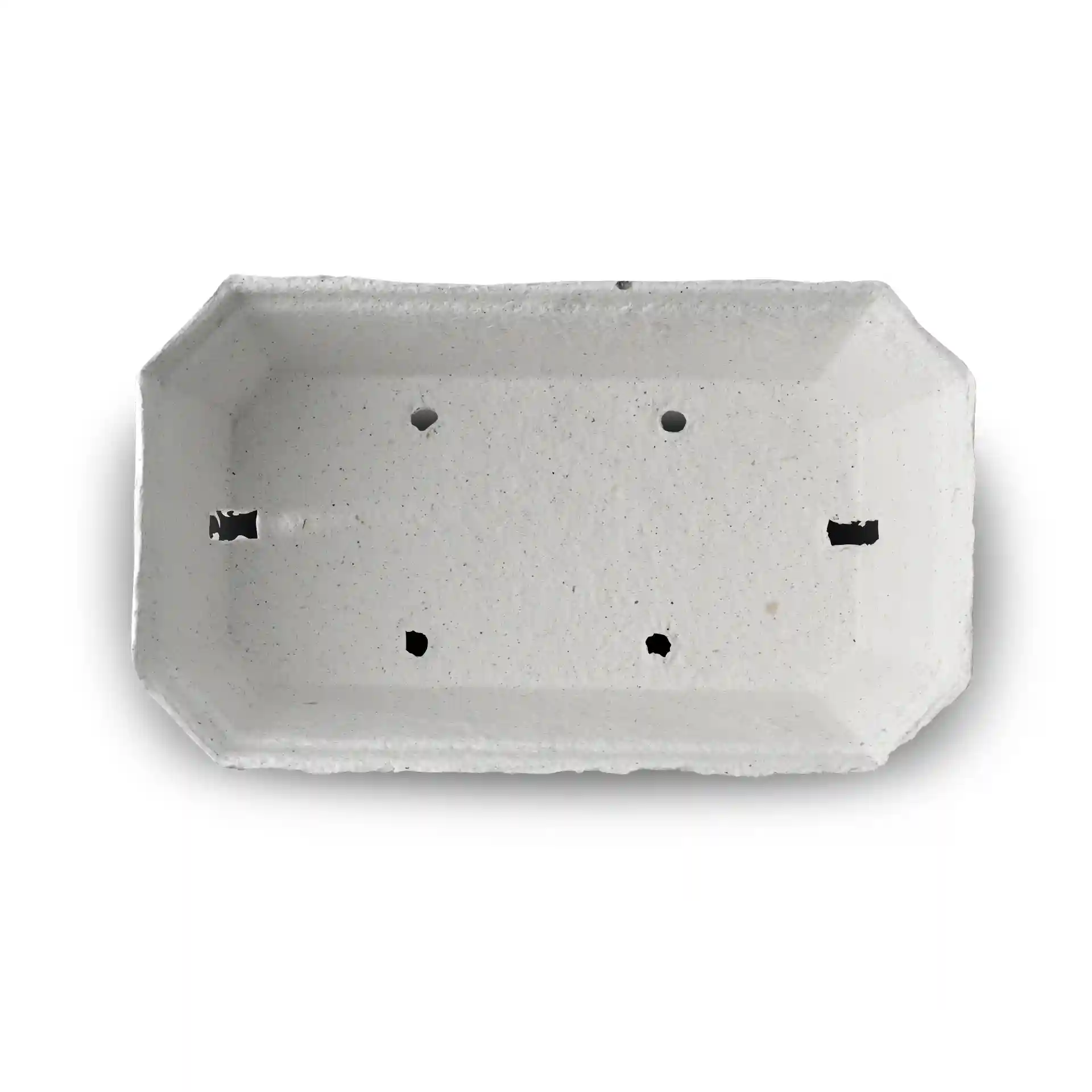 White wood pulp berry punnet with an octagonal shape and drainage holes, measuring 185 mm long and 115 mm wide.