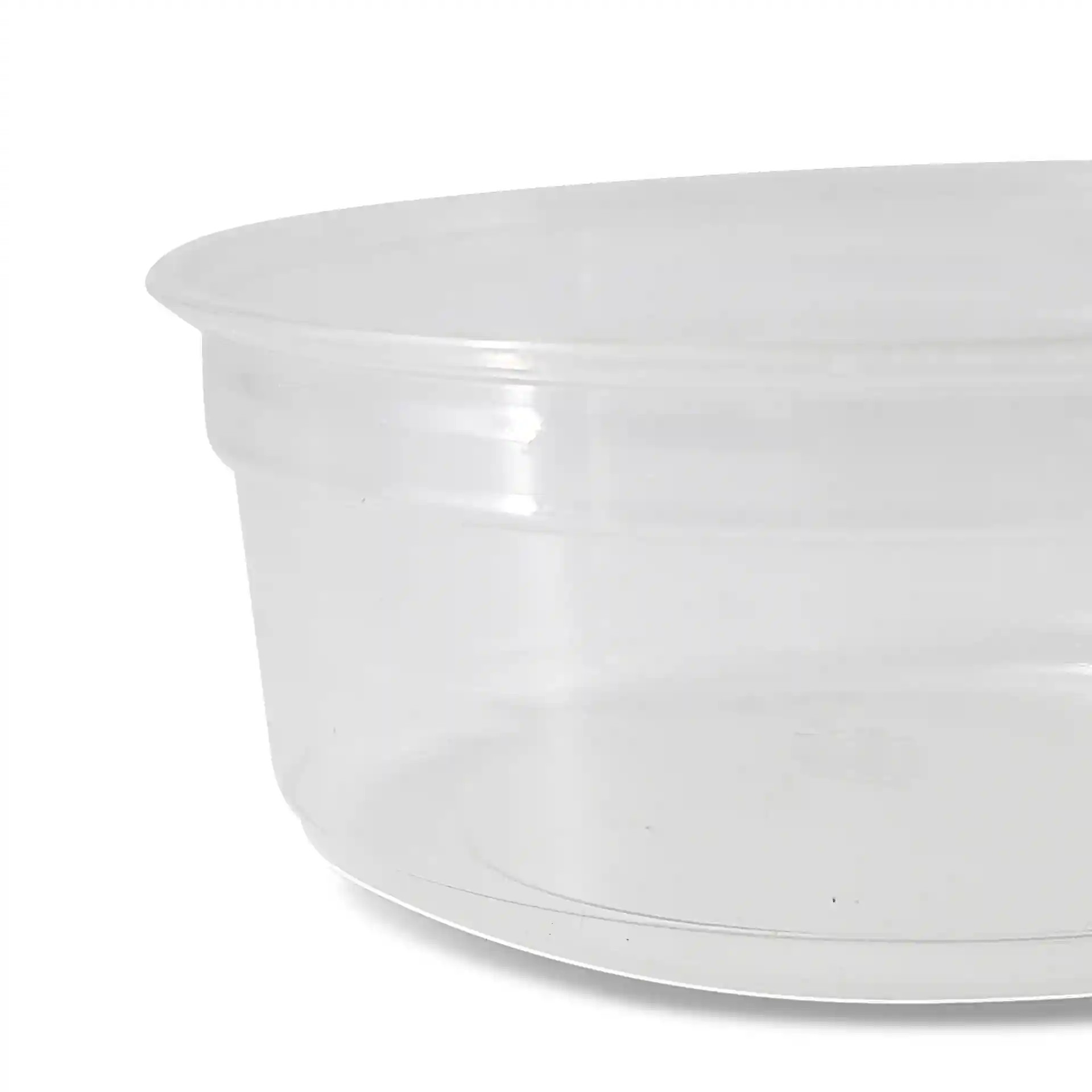 Transparenter runder Deli-Behälter mit einem Durchmesser von 117 mm und einer Höhe von 43 mm.