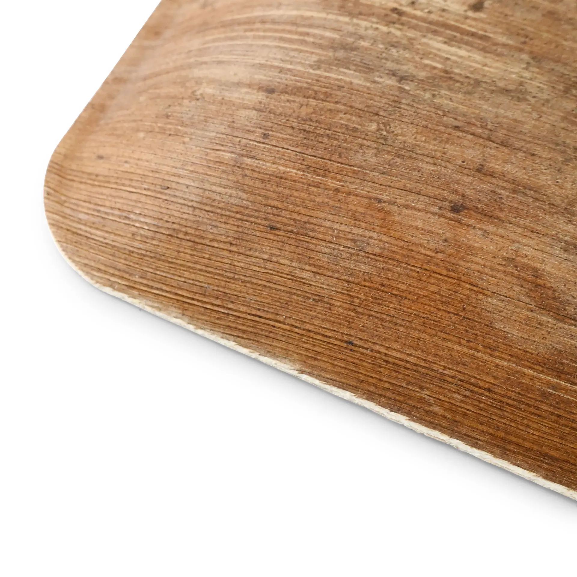 Palmblatt Teller "Palmware®" 15 x 15 cm, quadratisch dtw05360-palmblatt-teller-palmware-15-x-15-cm-quadratisch-4