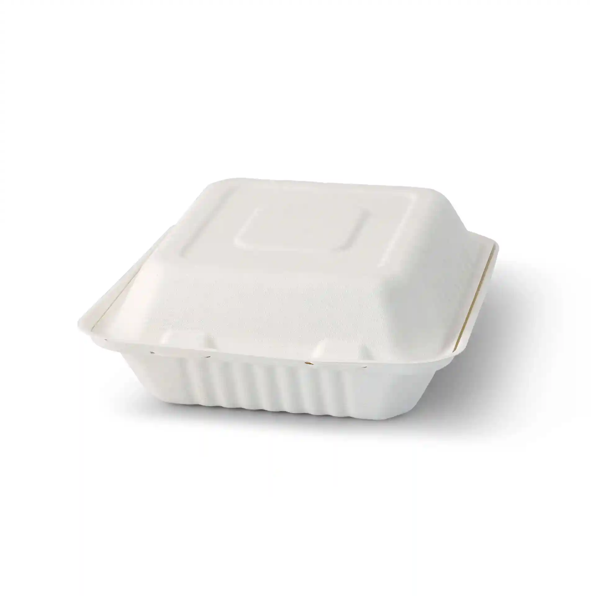 White rectangular hinged-lid container made from sugarcane, measuring 22 x 18.5 x 7 cm.
