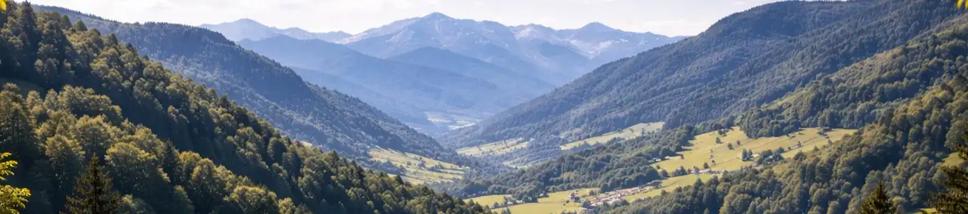 Scenic view of a lush green valley surrounded by mountains under a clear sky.