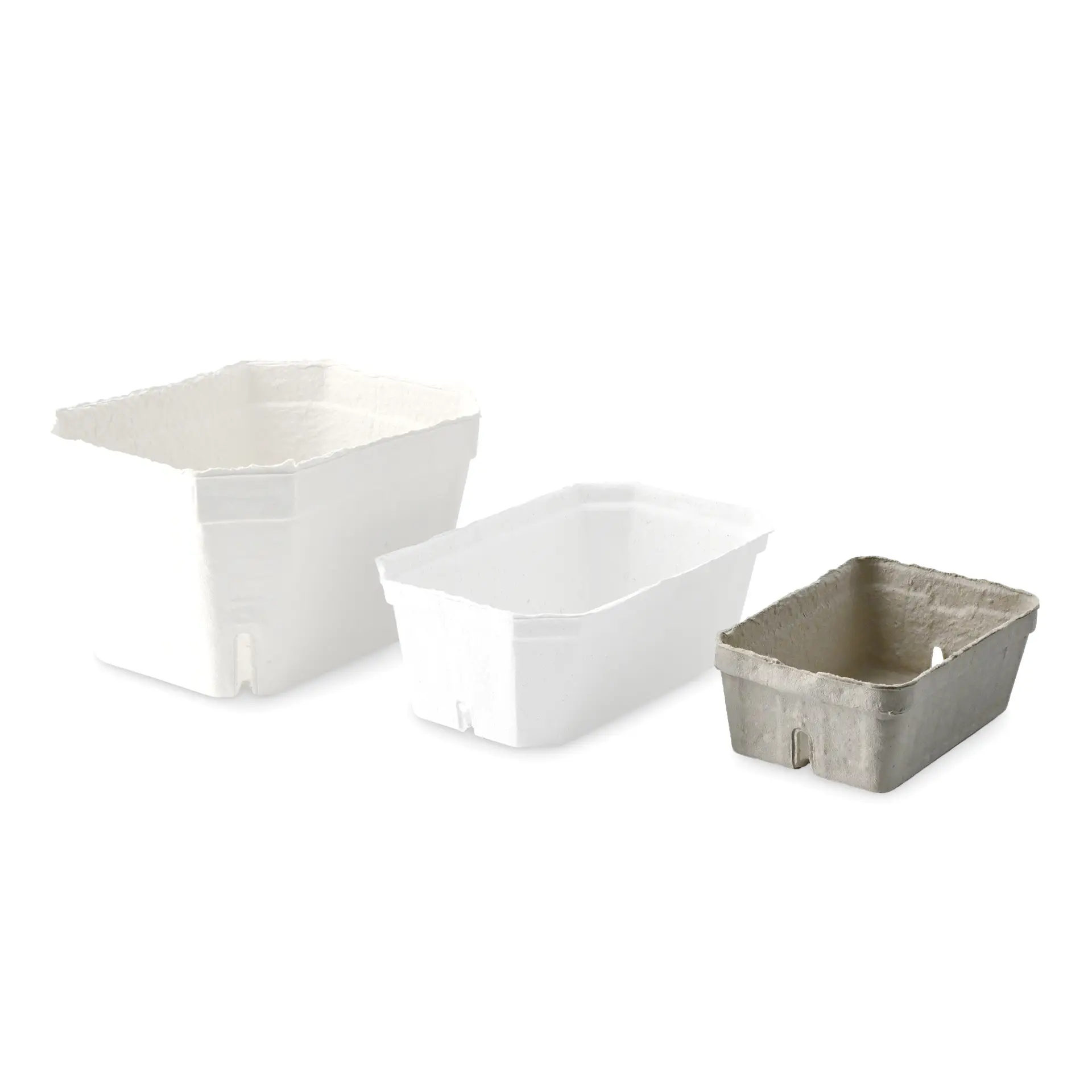 Three berry trays in focus: one white tray made from wood pulp board, one white tray, and one grey tray beside them.