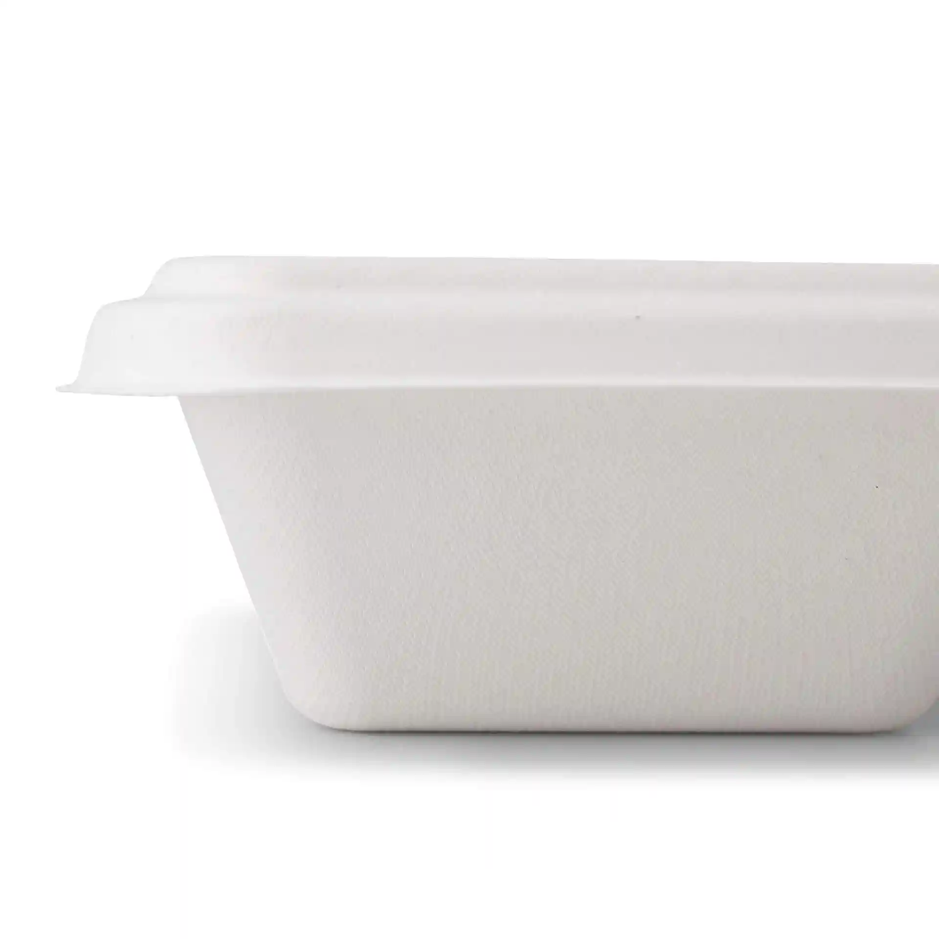 Rectangular white sugarcane container with a lid, measuring 23 x 14.5 cm and 17 mm in height.