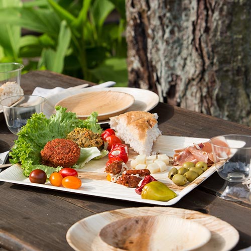 sonderregelung-palmblattprodukte