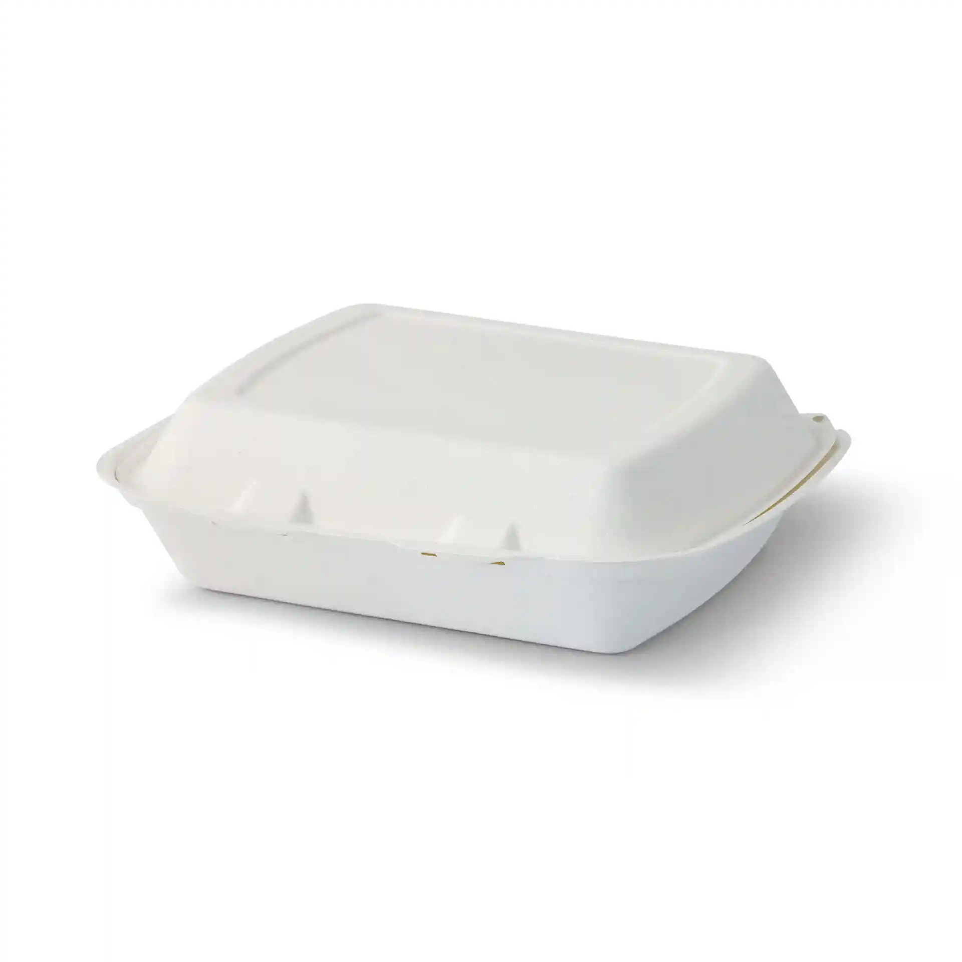 White rectangular hinged-lid container made from sugarcane, measuring 25 x 20 x 7.5 cm.