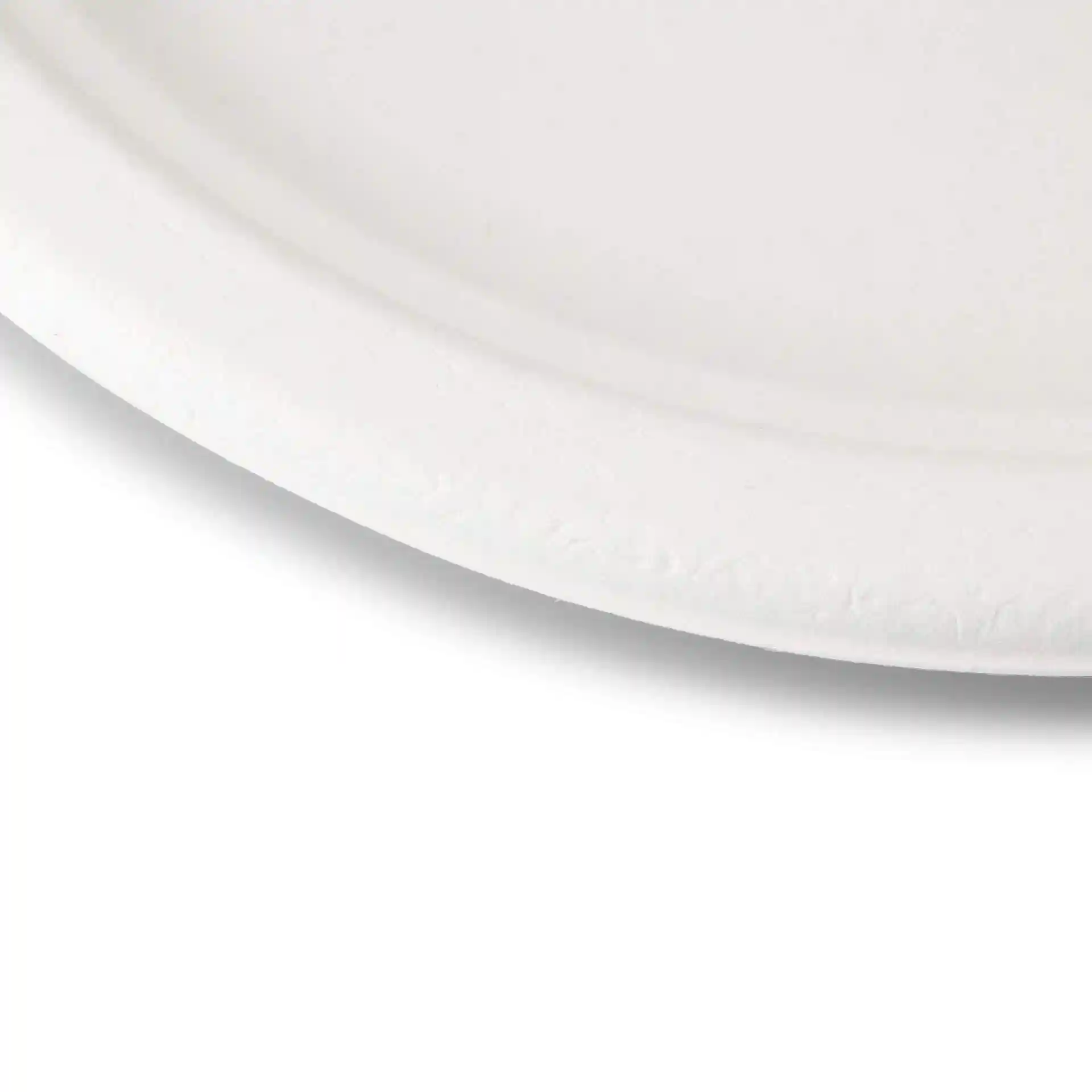 Round white sugarcane plate with a diameter of 26 cm and a shallow design, showing the edge detail.