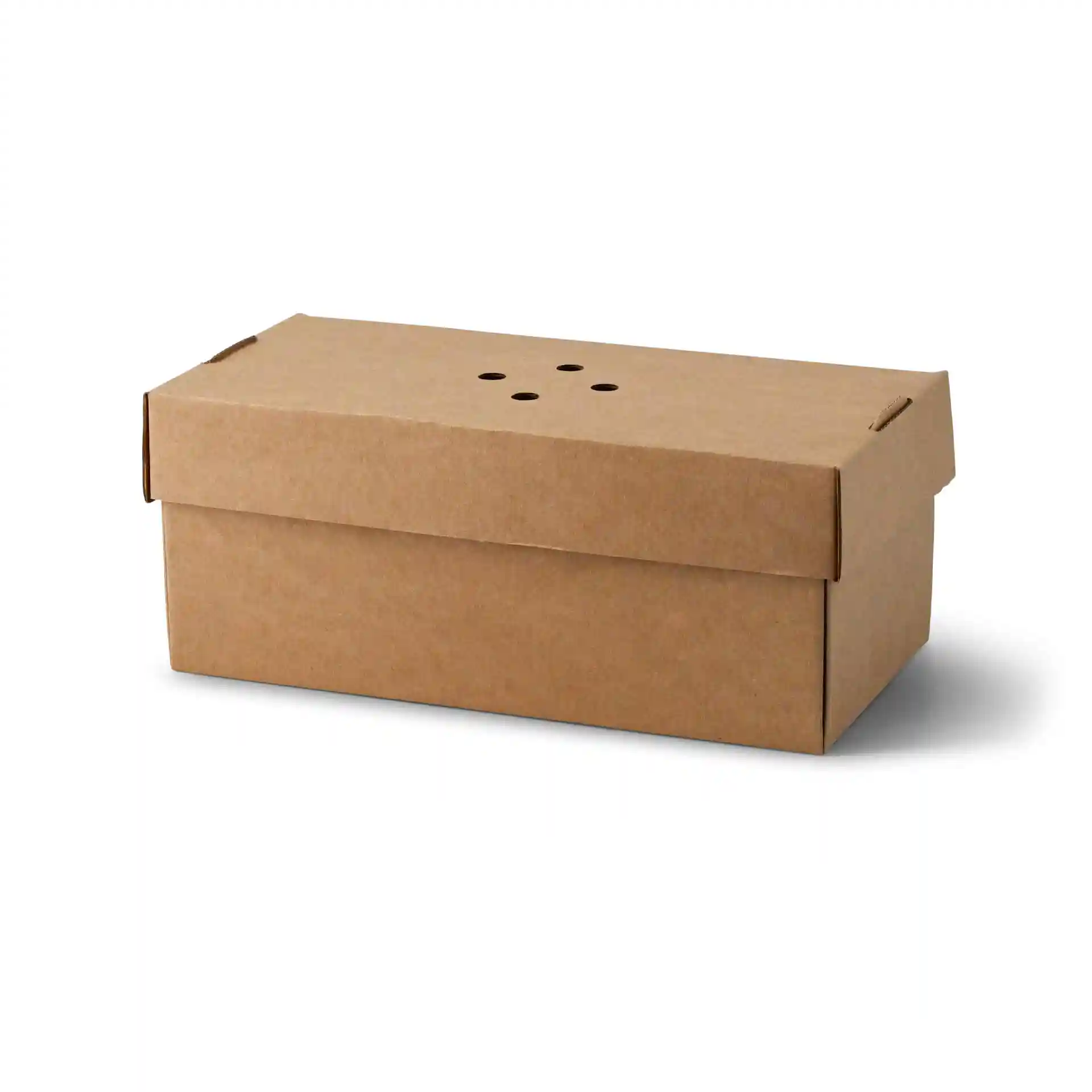 Brown rectangular cardboard box with a collapsible design and ventilation holes on the top.