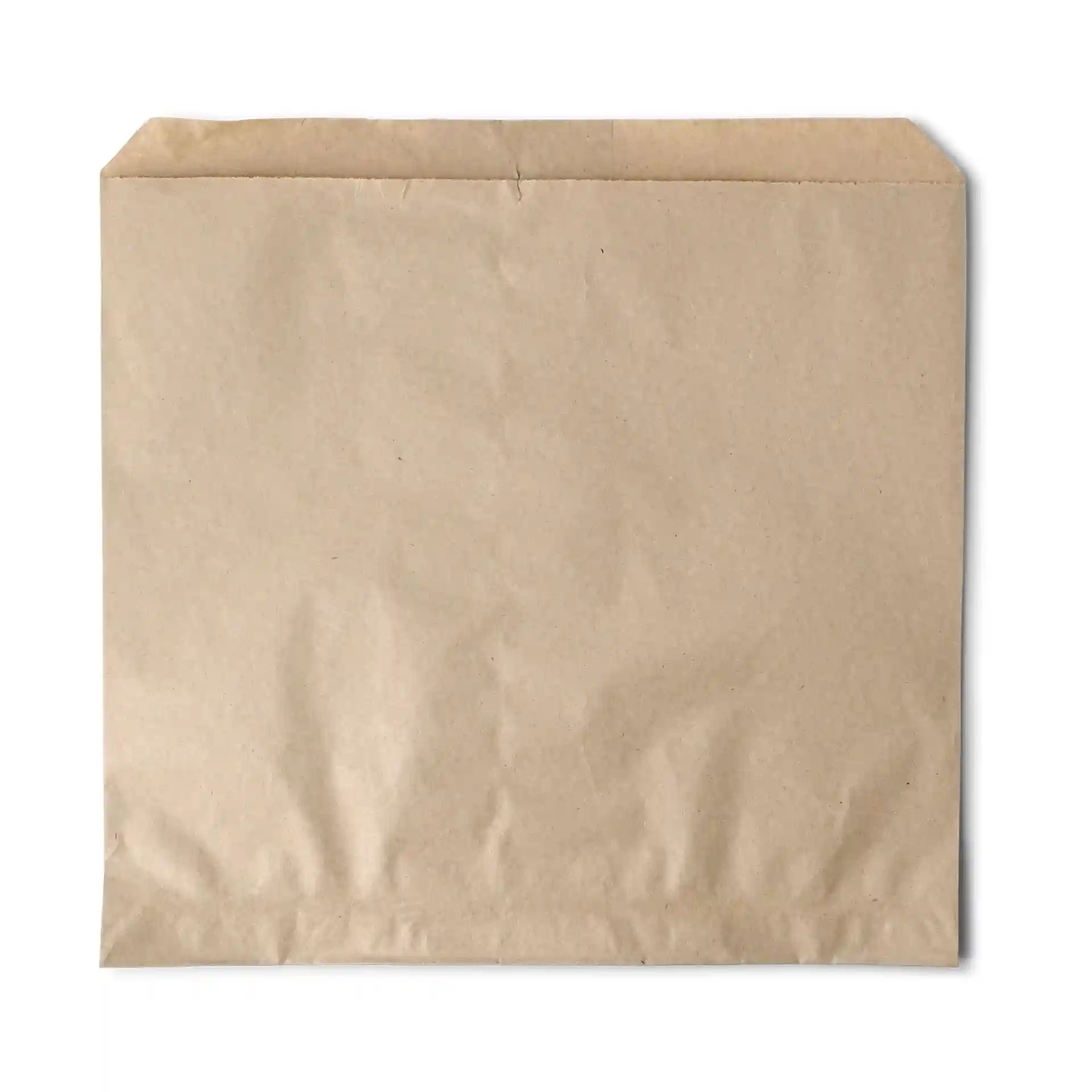 Brown kraft paper flat bag measuring 24.5 x 25 cm with no coating or viewing window.