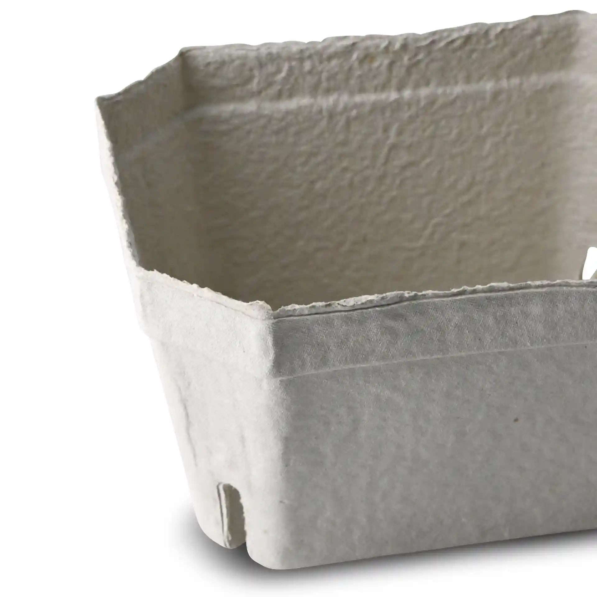 White wood pulp berry punnet with a square shape and open top, measuring 180 mm in length and 142 mm in width.