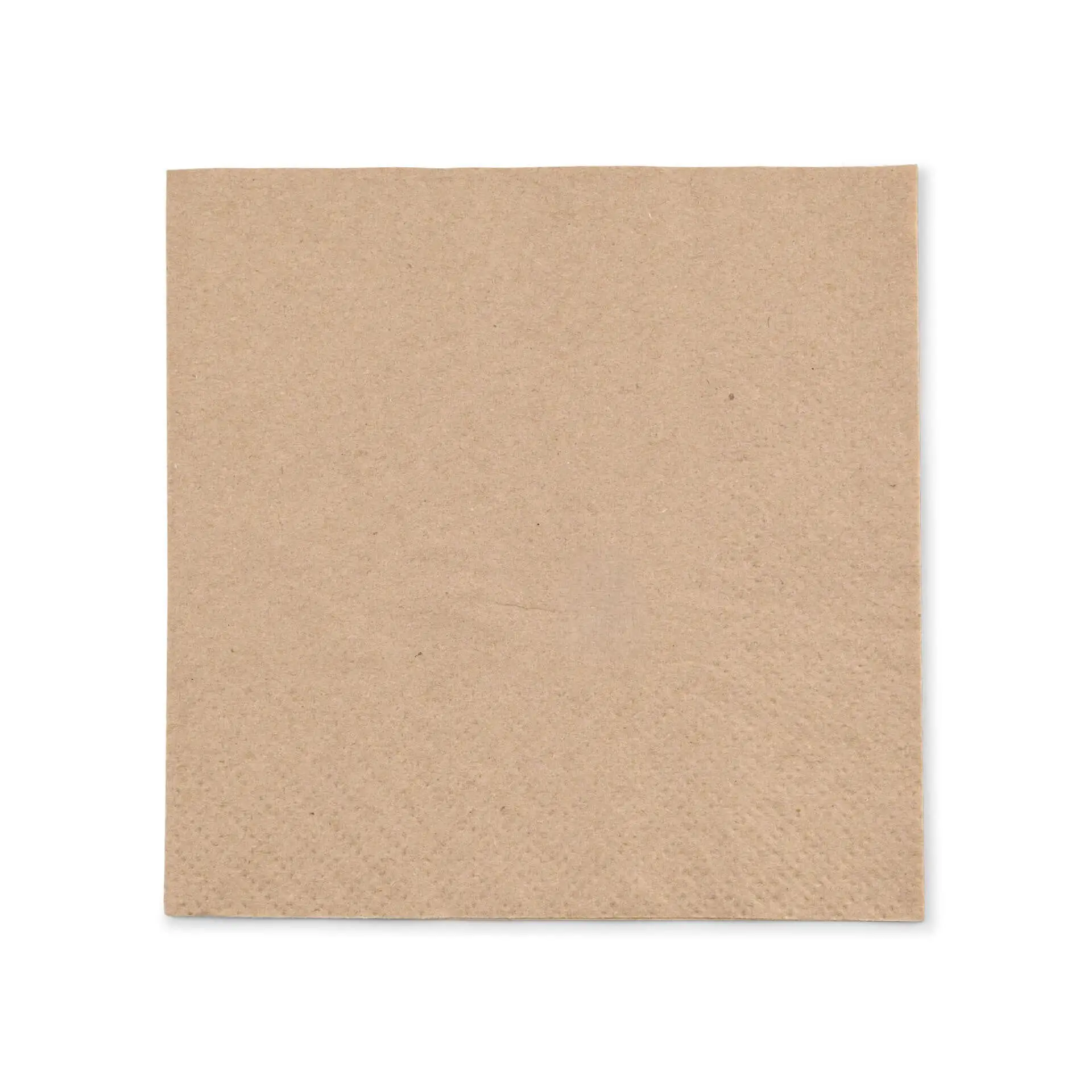 Square, unbleached paper napkin with a 2-ply design and a recycling symbol printed in black.